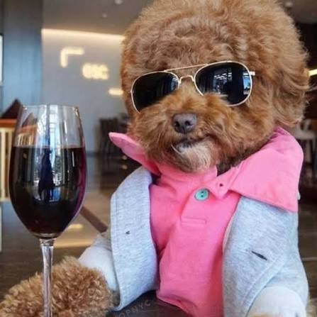 August Wine Night: Riding Out the Dog Days