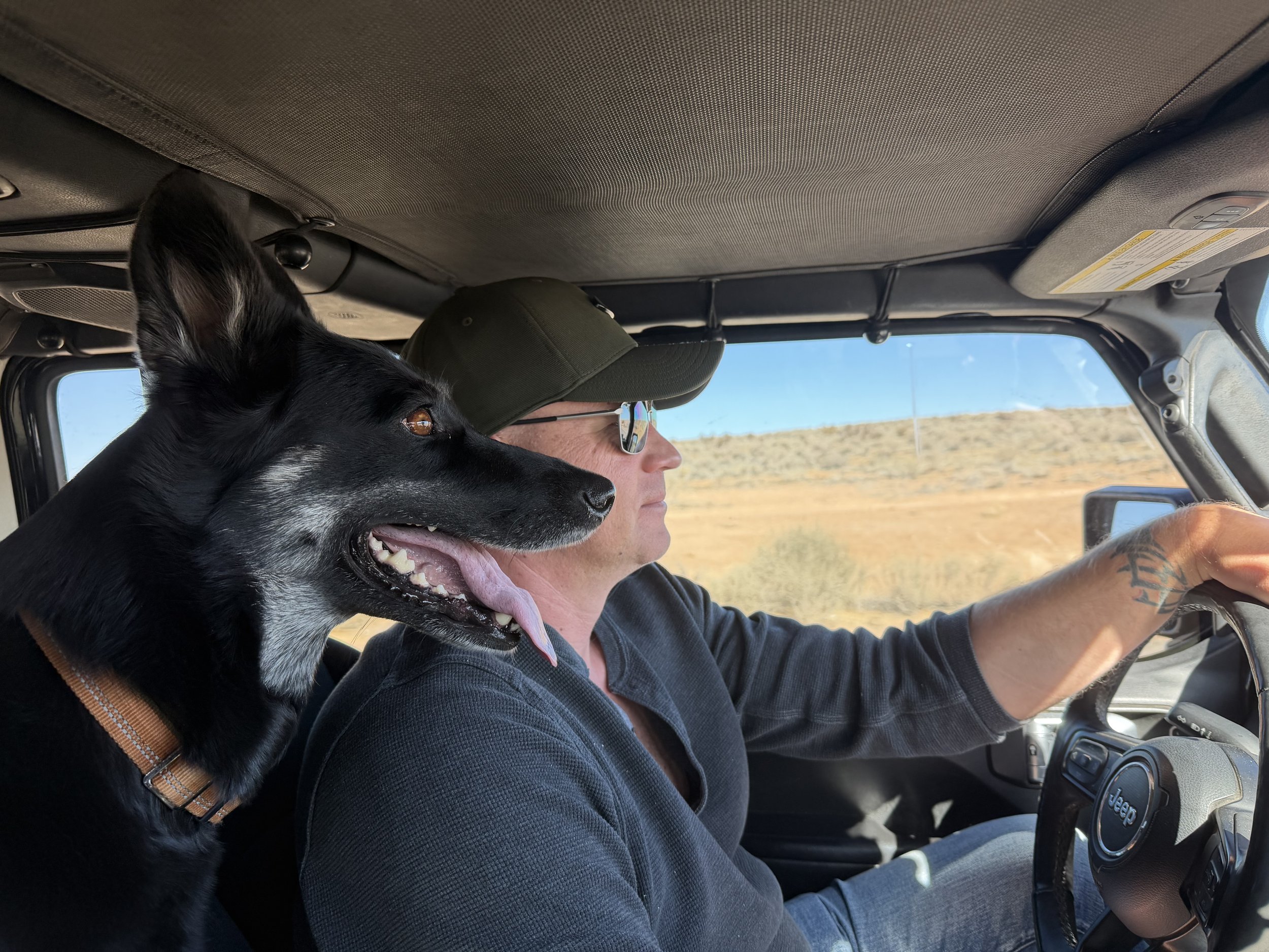 Still Here, Still Moving