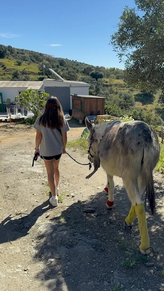 9 Things I Learned Traveling Through Spain With My 11-Year-Old