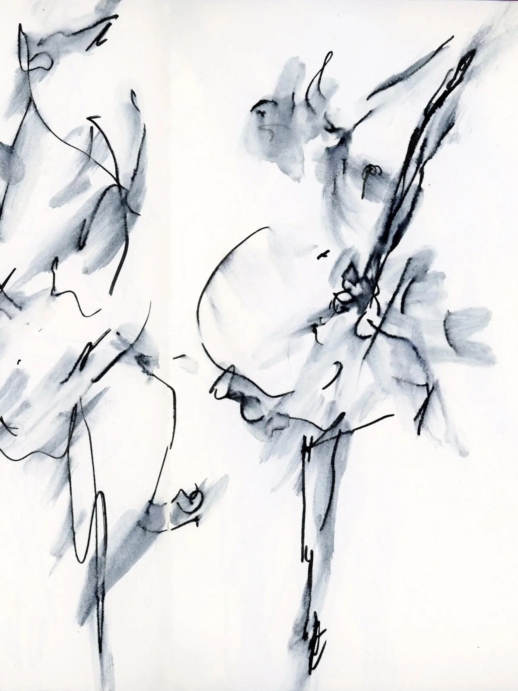 ballet-dance-pdb-carla-sketch-patrick-fraser-art-T.jpg