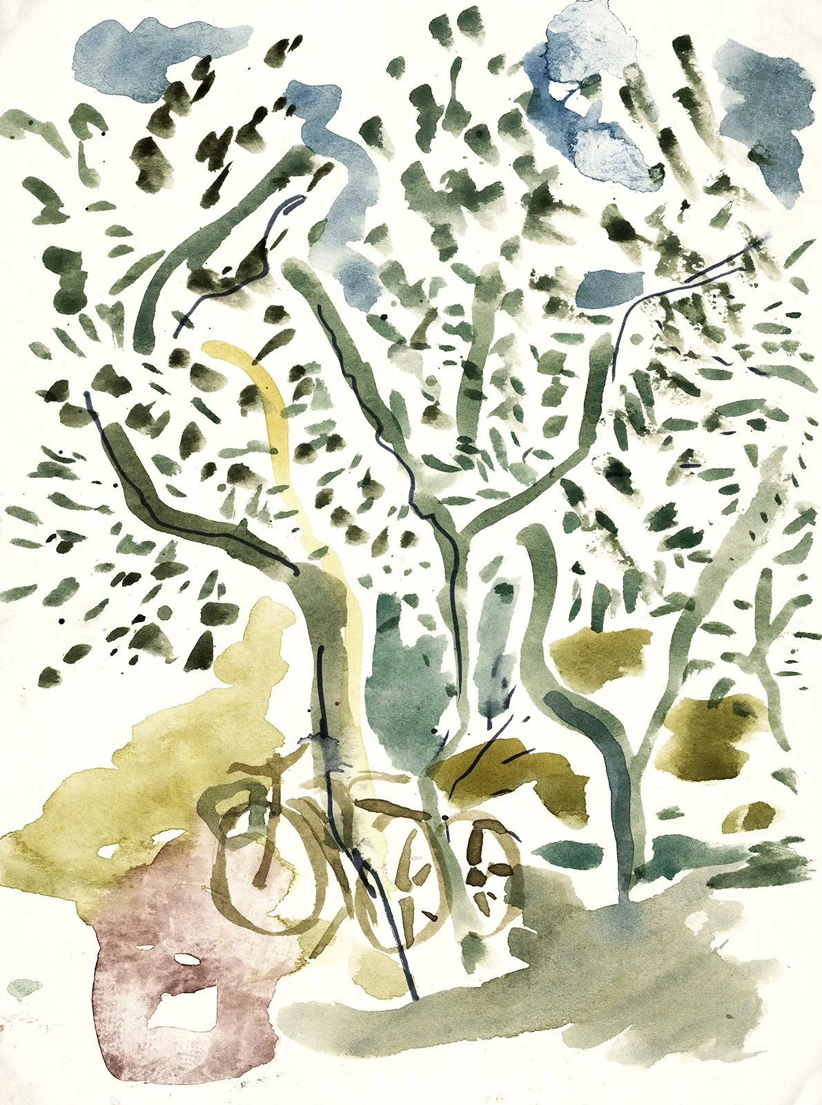 Two Bicycles with Olive Tree: Watercolor Landscape painting, Deltebre, Spain