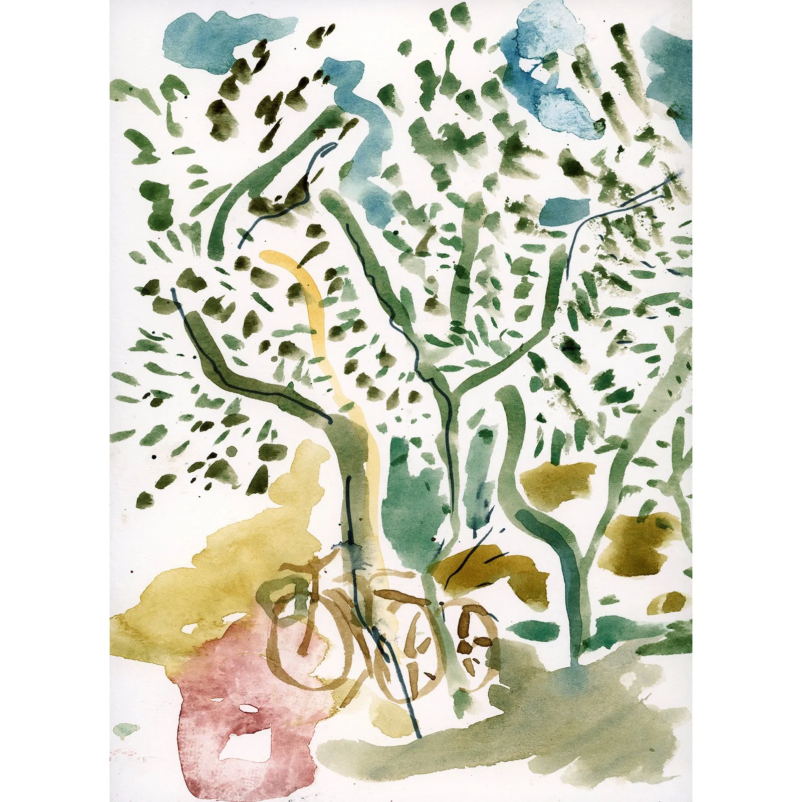 Olive with Bicycles: Watercolor Landscape, Deltebre, Spain