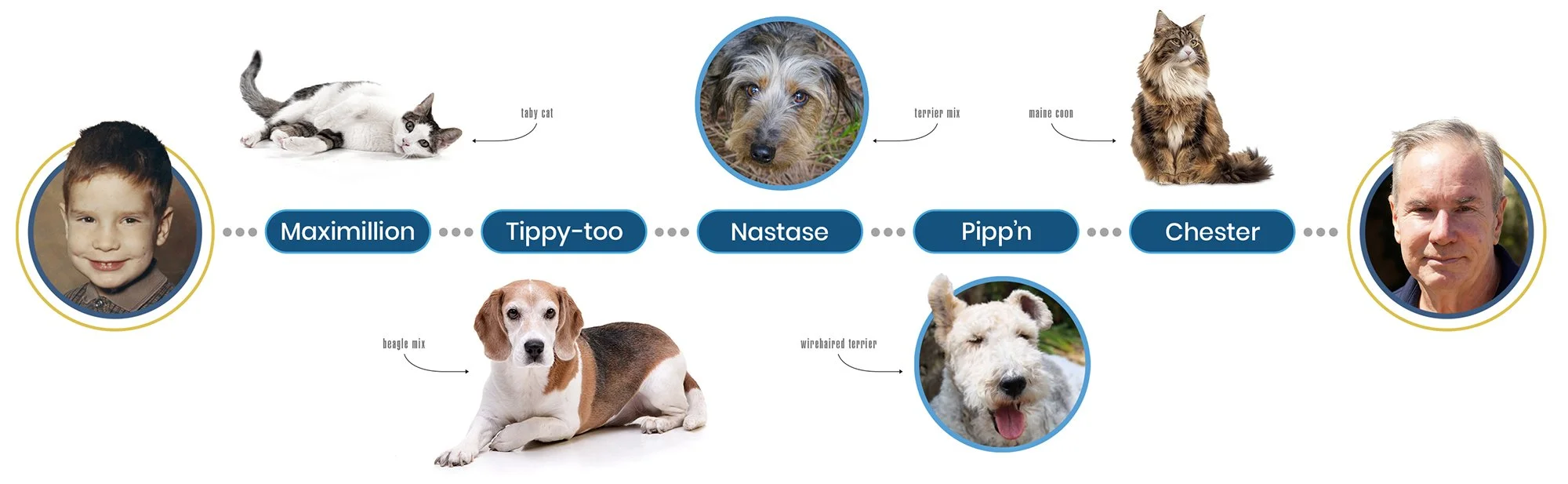 Family tree diagram showing a young boy named Maxamillion at the start and a man at the end, with pictures of various dogs and cats in between. The pets are labeled as tabby cat, terrier mix, beagle mix, wirehaired terrier, Maine Coon, and Scottish Fold, indicating their relationships.