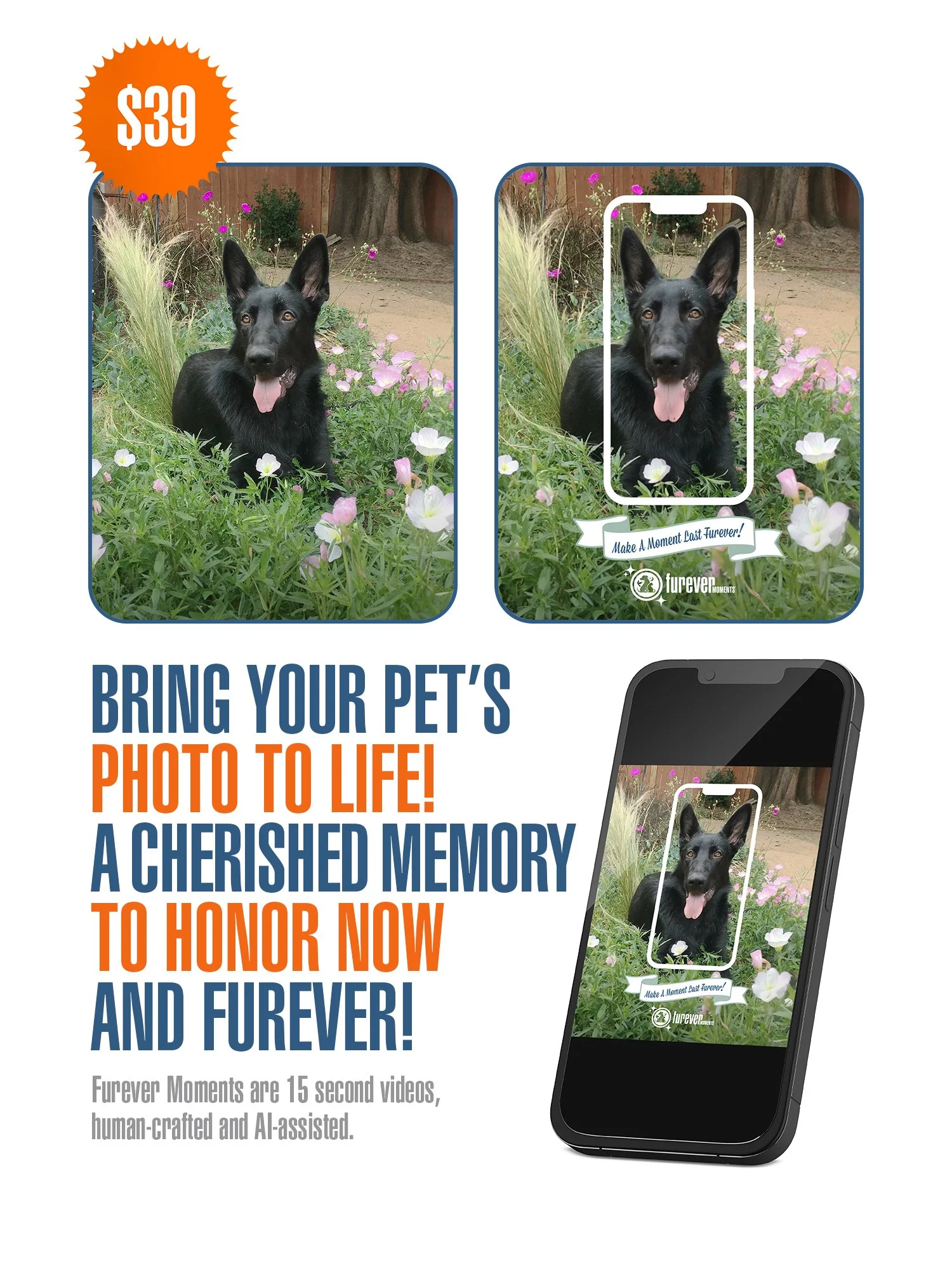 Furever Moments Custom Pet Video