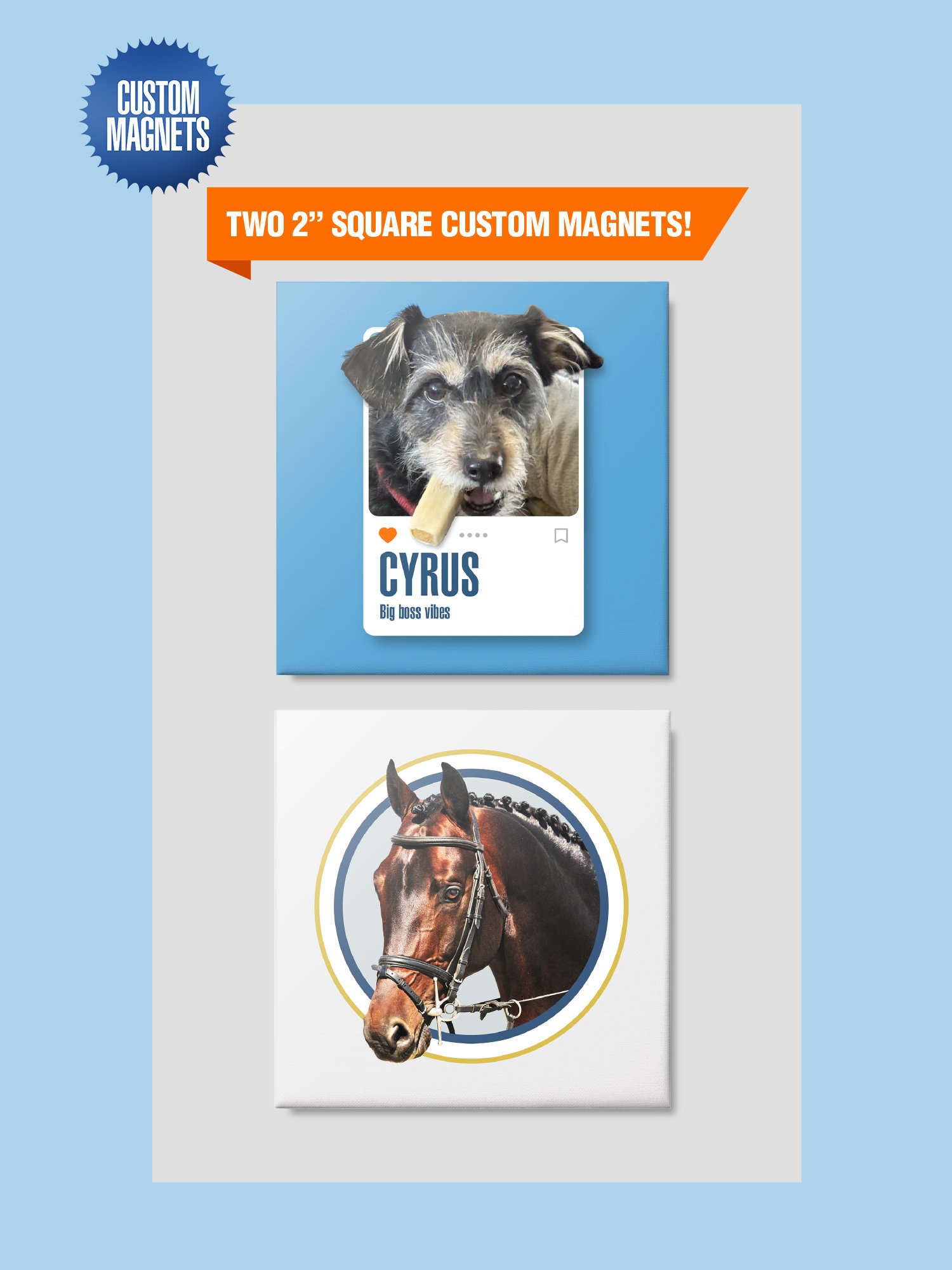 Two 2” Square Custom Pet Magnets