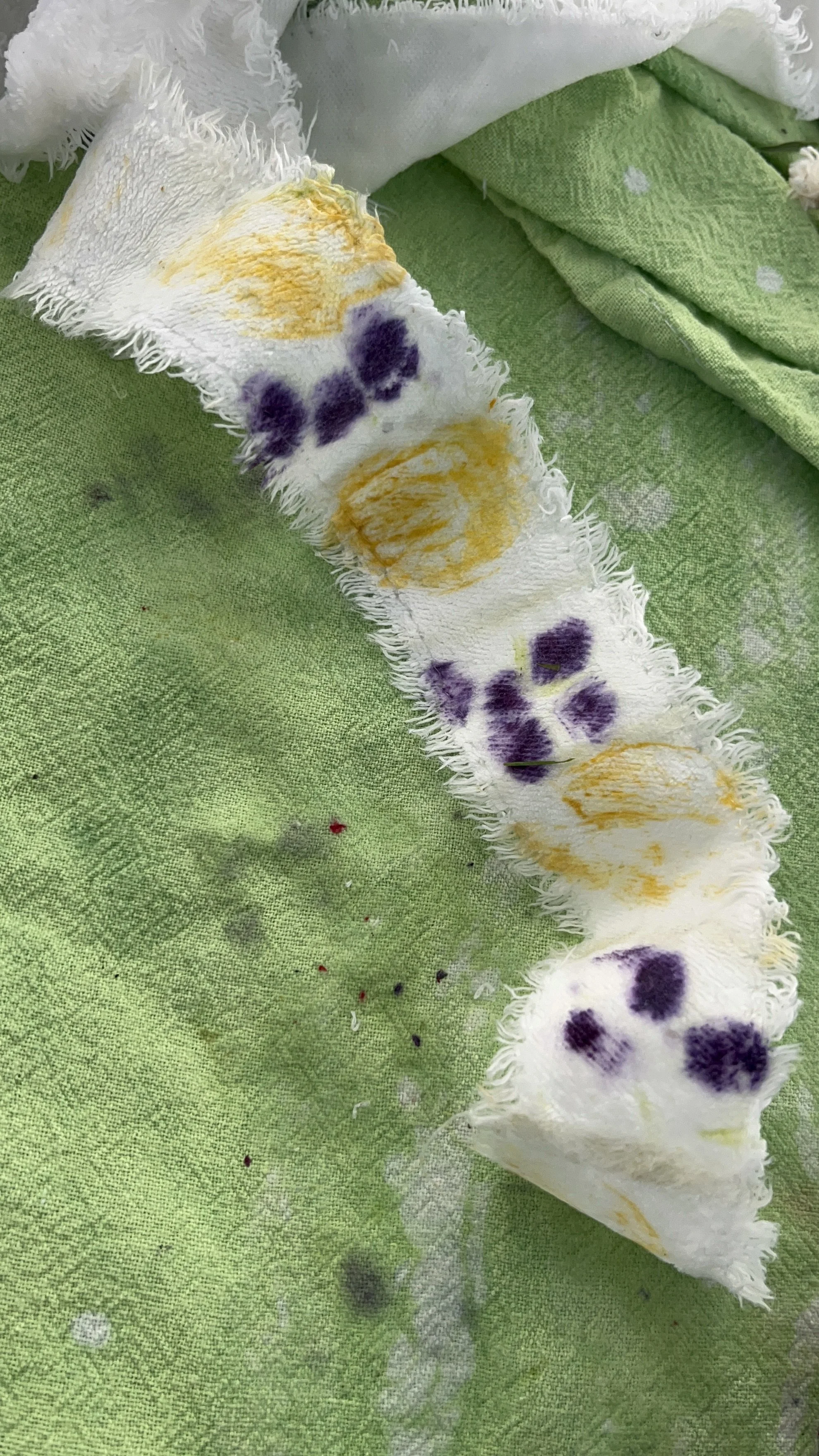 botanical print velvet ribbon yellow and purple