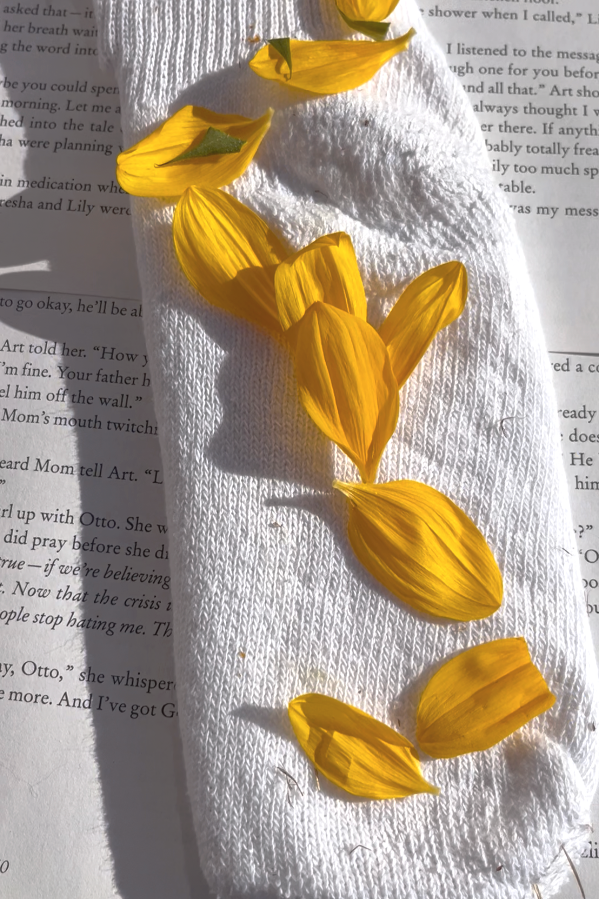 laid out sunflower petals on white sock on top book pages
