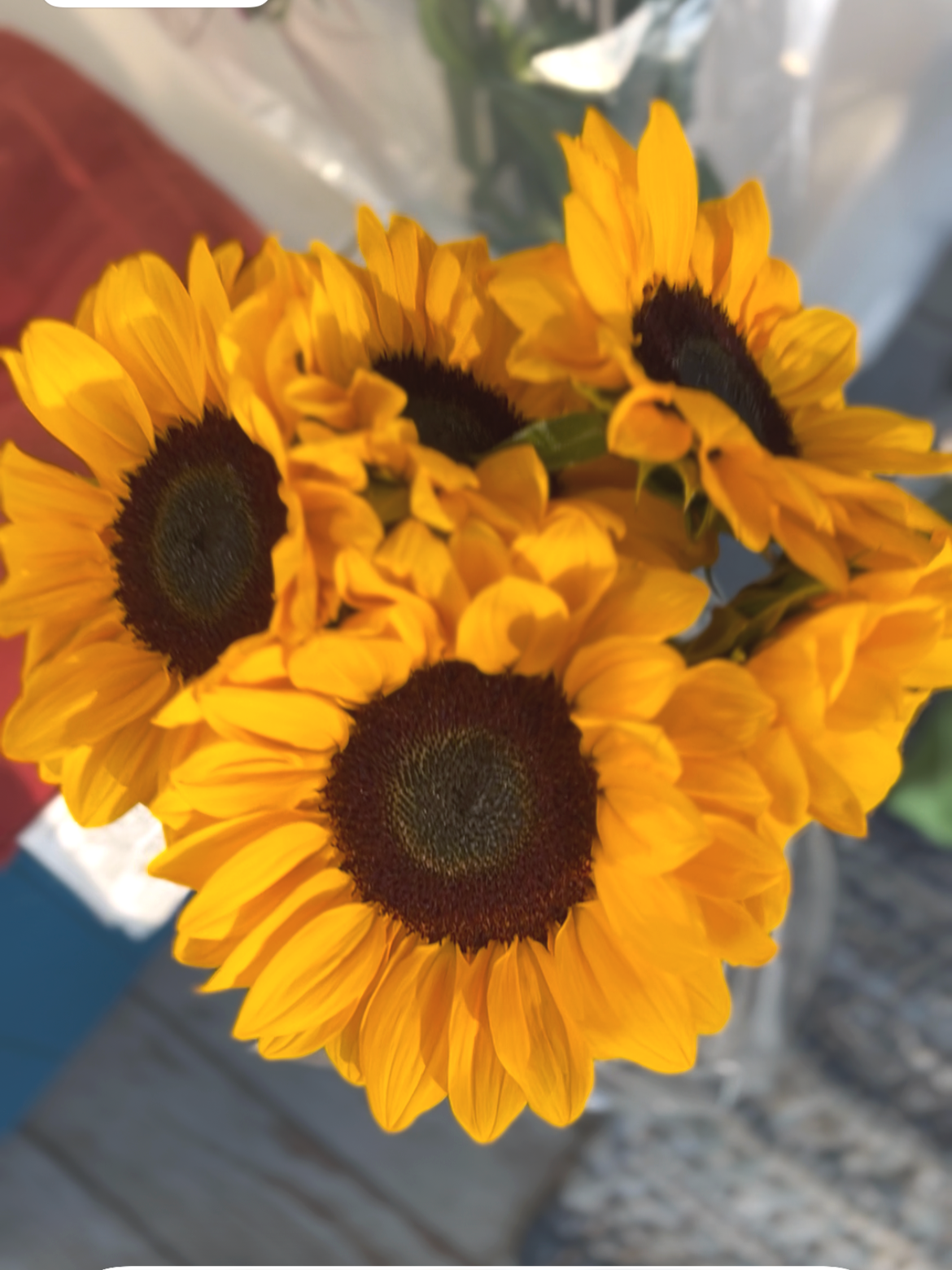 sunflowers