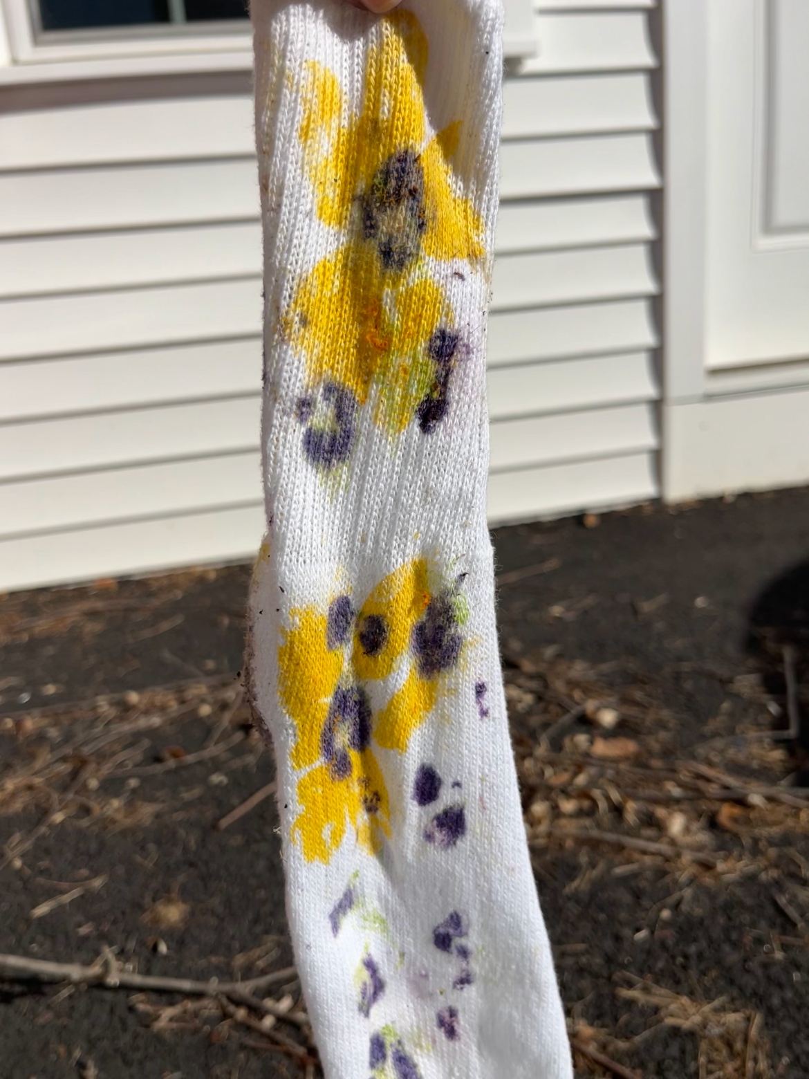 botanical print sock yellow and purple
