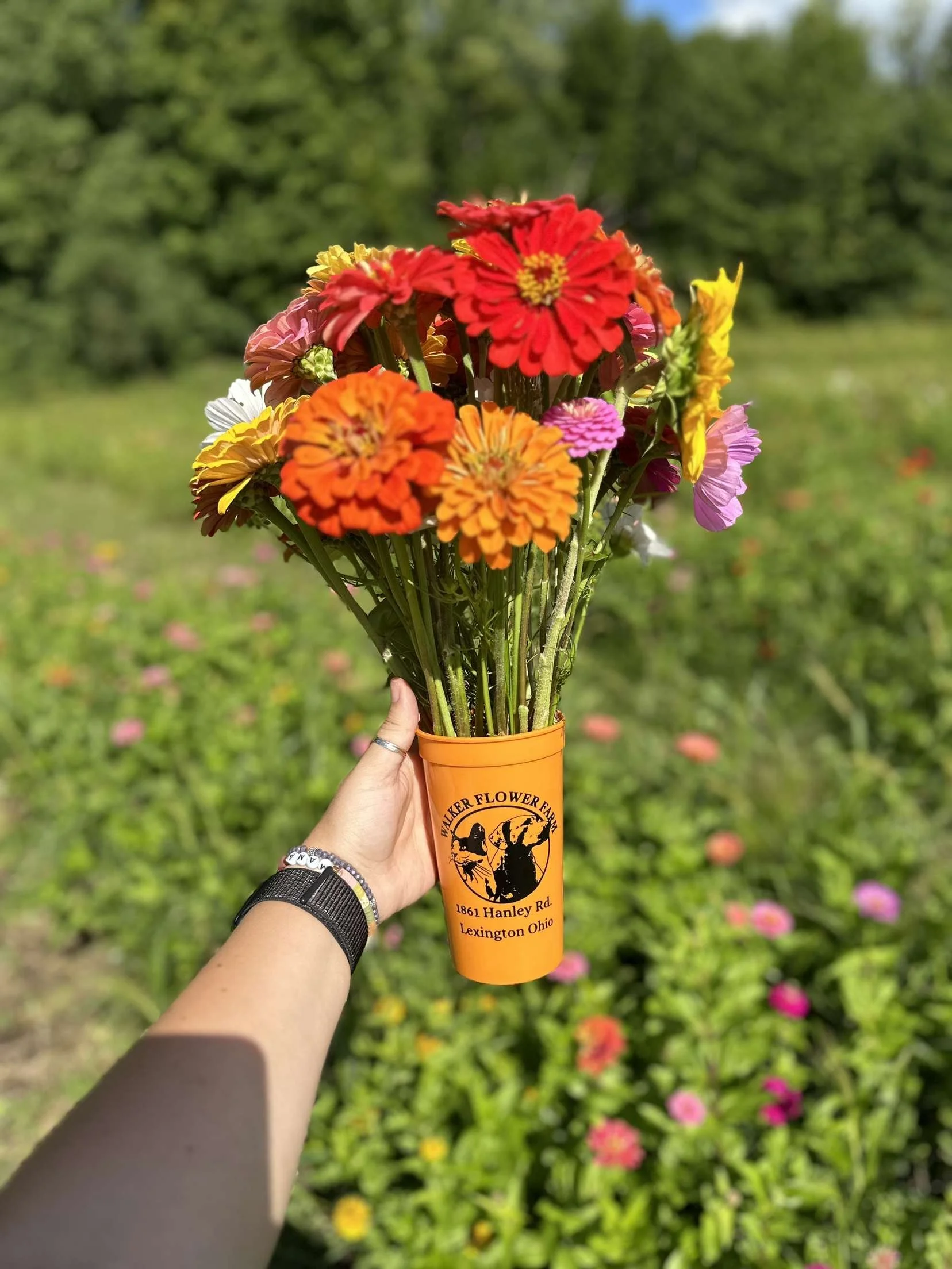 Pick your own bouquet