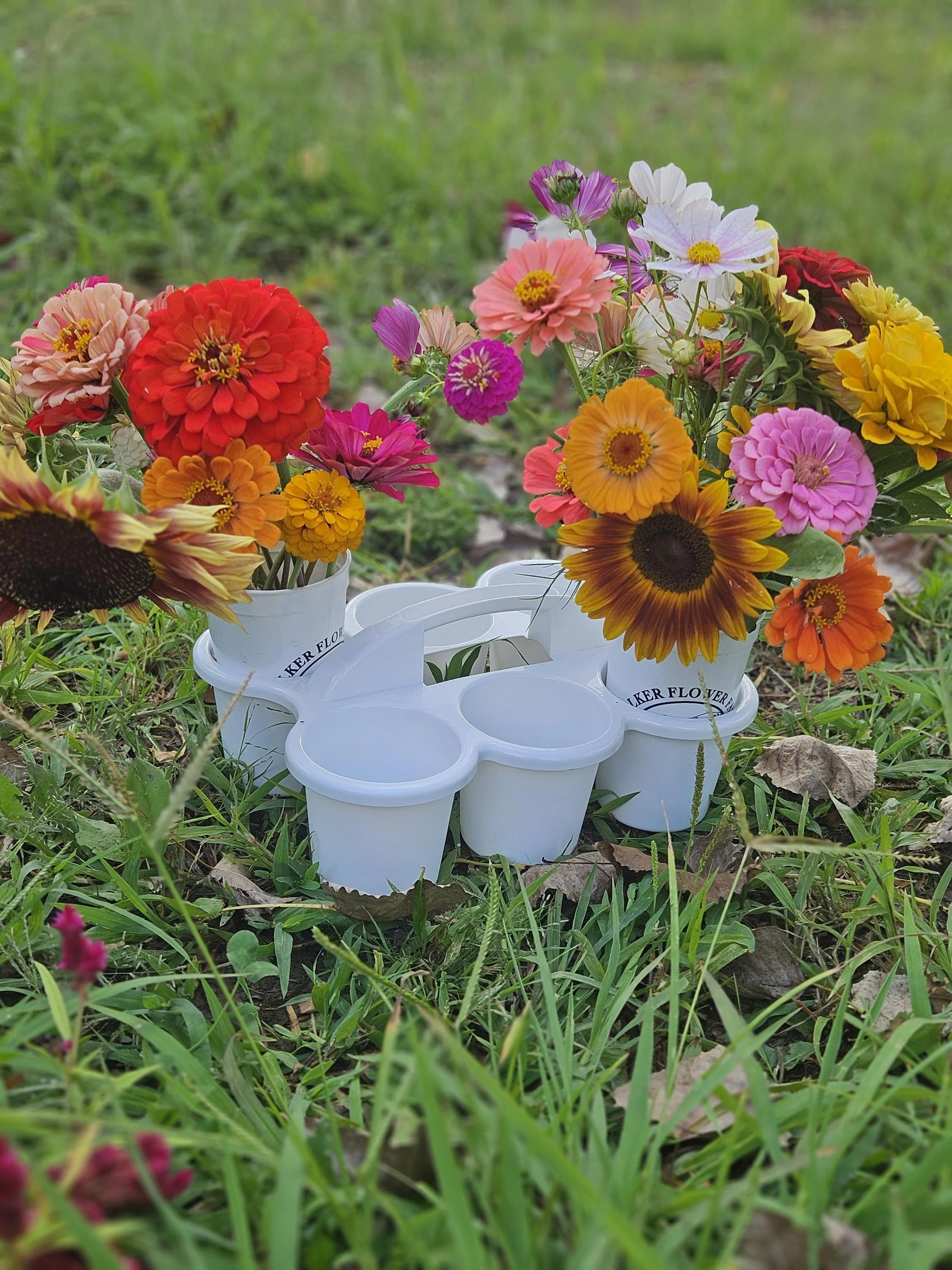 Pick your own Bouquet August 26th