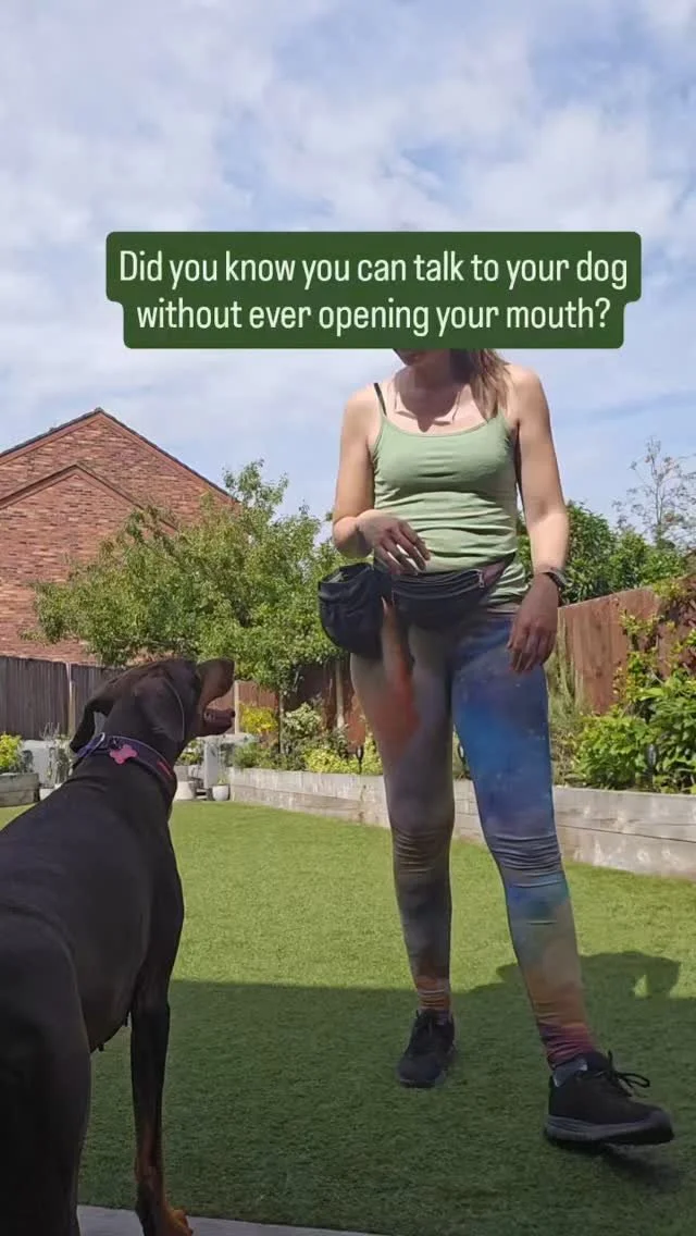 Need I say...anything?
I love silent communication with dogs.
I love body language and non verbal cues and sign language when it comes to my human relationships, and all of it applies to dogs in a big way too.
The best, most efficient way to teach