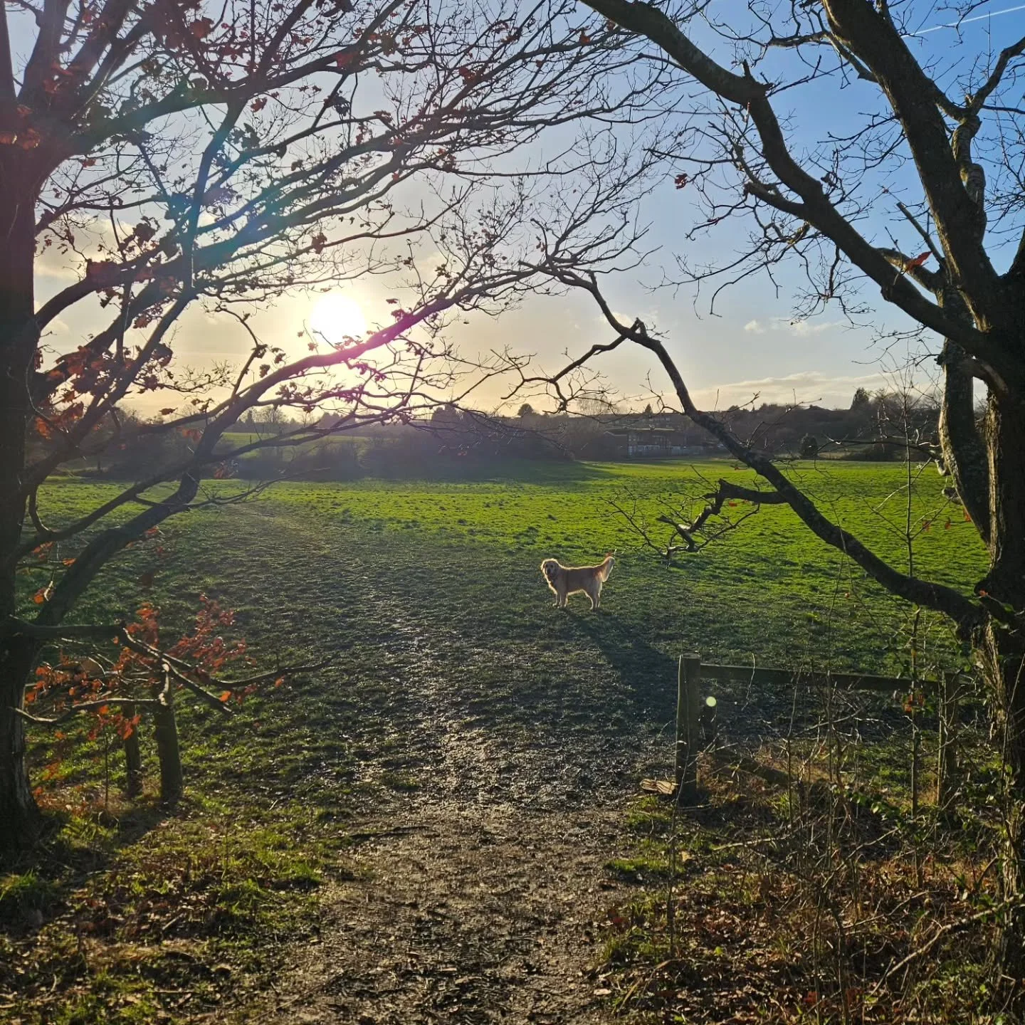 A week in the life ❤️

More off lead time for Boyd.
Lads ladding about
The cutest dog that ever lived (also a feisty, clever legend)
Predatory drive training for Zigs
Play and impulse control for Indie
Lead walking training for Pip with a bit of Stop