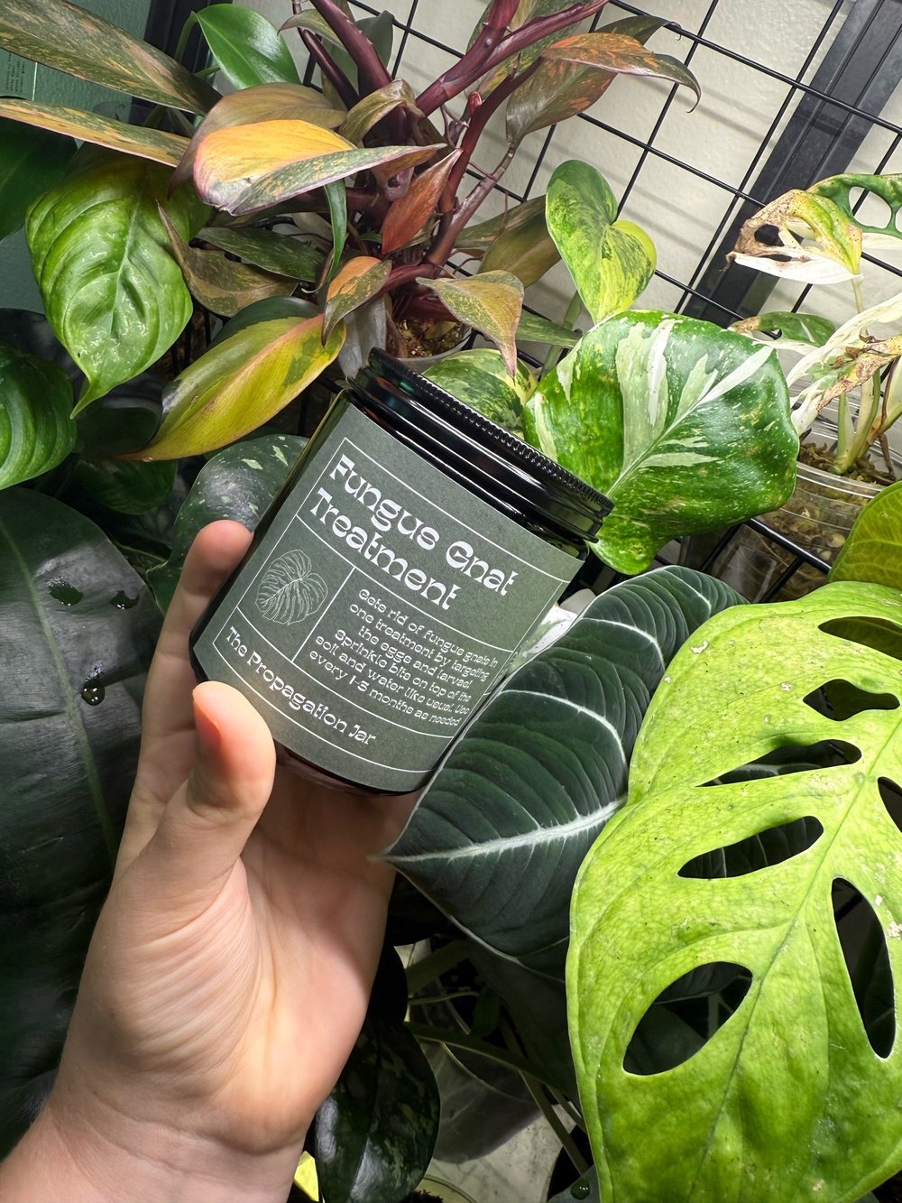 Fungus Gnat Treatment 8oz  The Propagation Jar