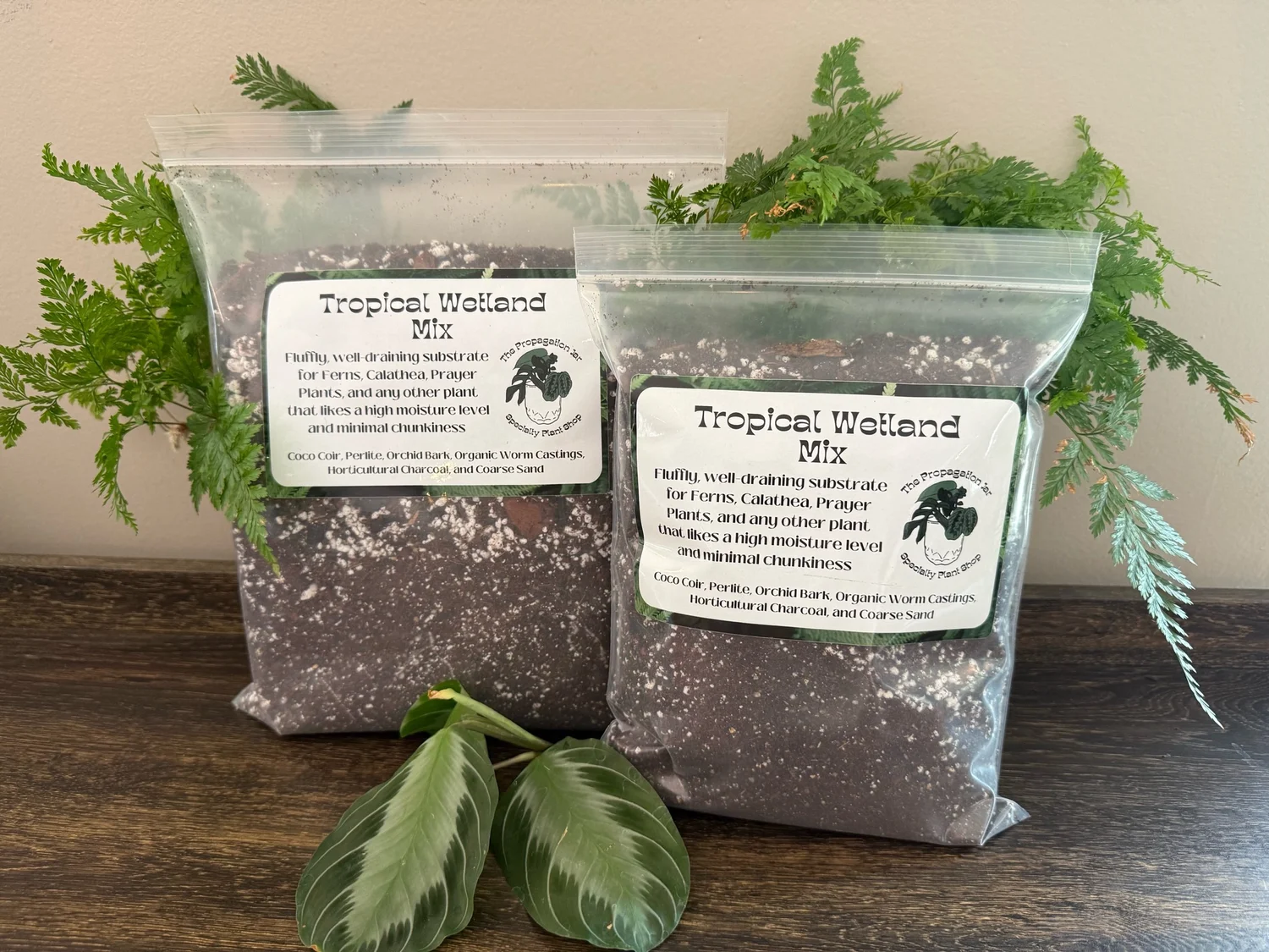 Tropical Wetland Mix  The Propagation Jar