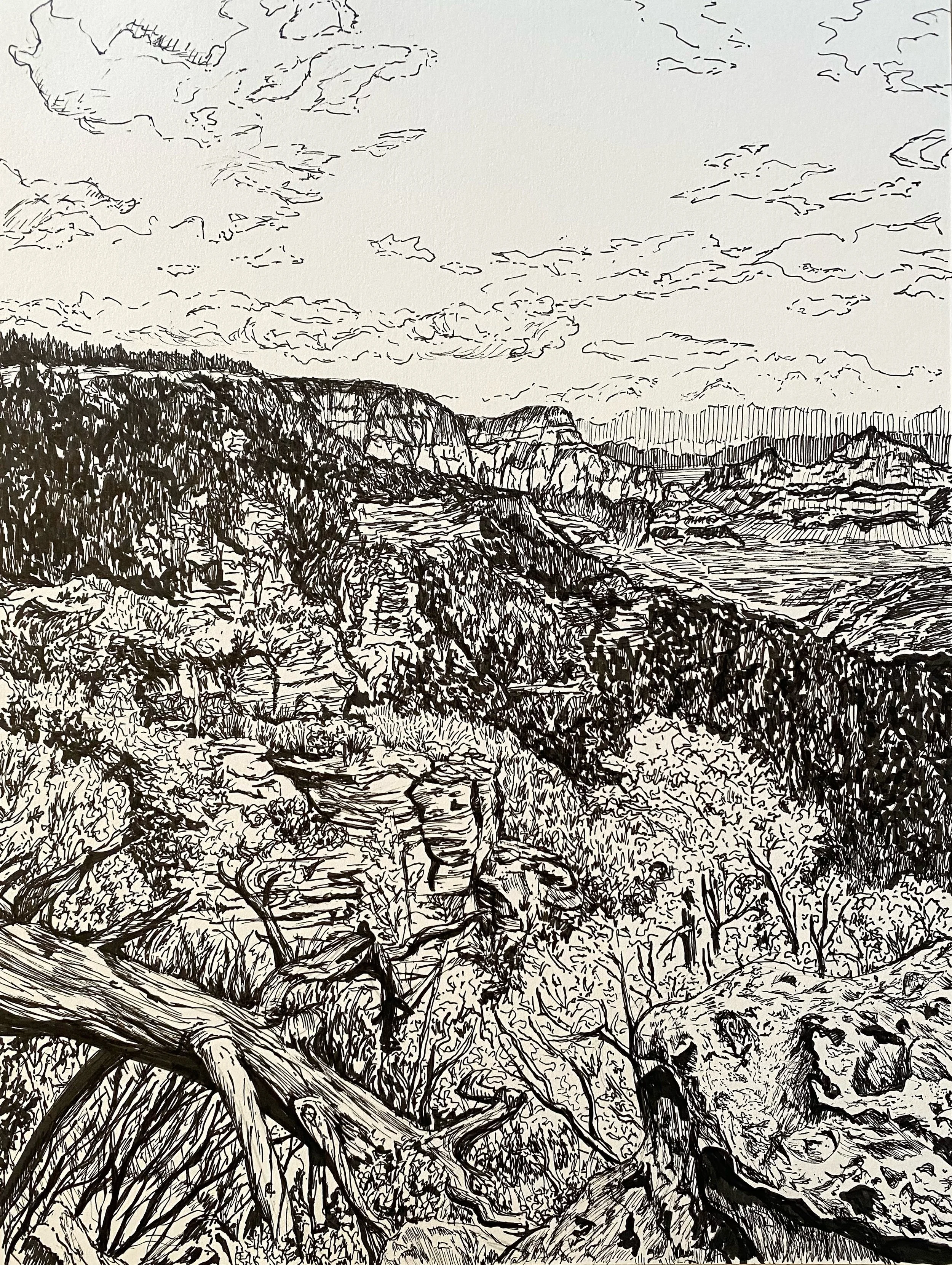 Edge of the World
Pen and Ink on Paper, 9 x 12"