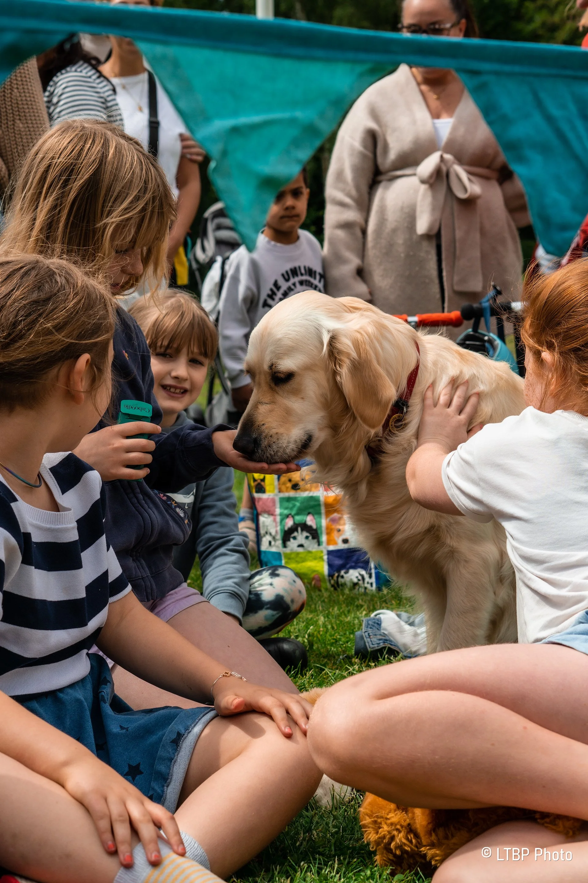 Children and adults gathered outdoors, petting a retriever dog sitting on the grass. The scene appears to be at a pet or community event, with a blue canopy overhead and various people in the background.
