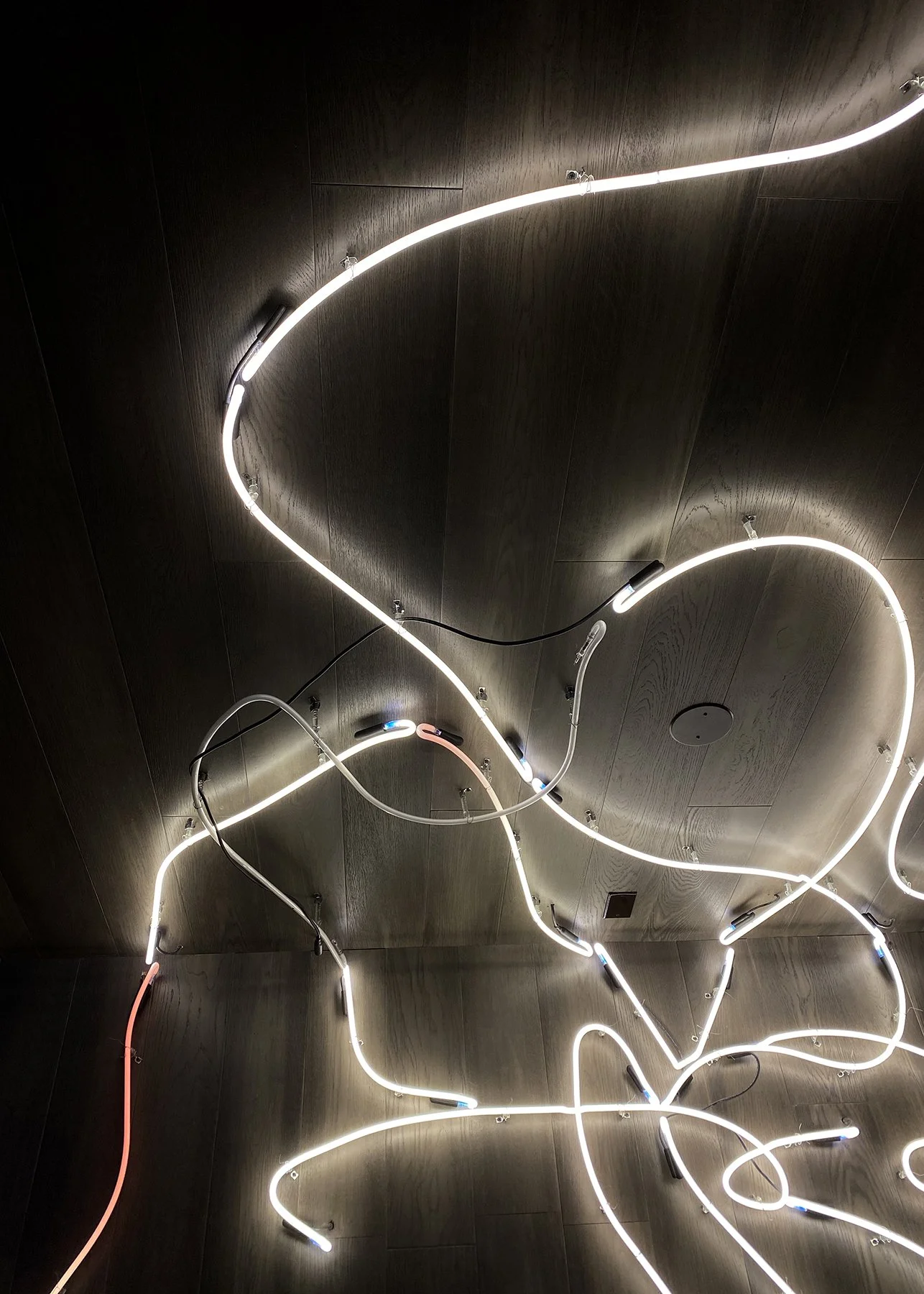 leading female board certified plastic surgeon denver colorado