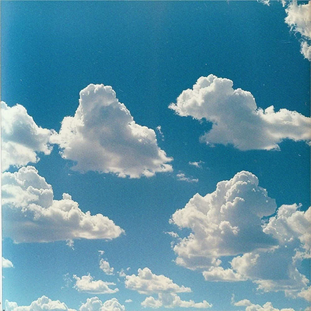 Amavi Signature Treatment Highlight