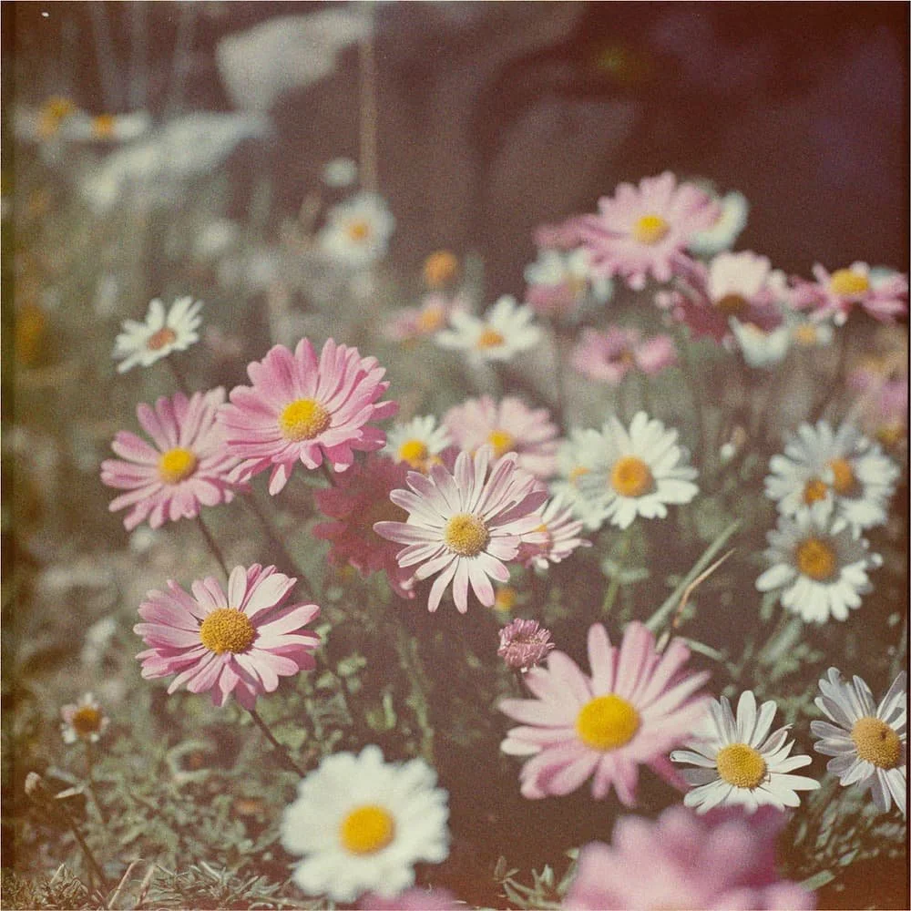 best board certified plastic surgeon denver