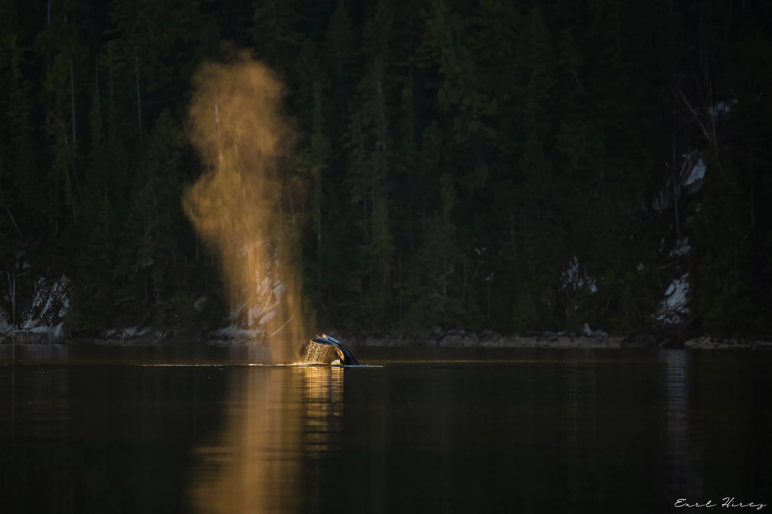 Sun Kissed Mist