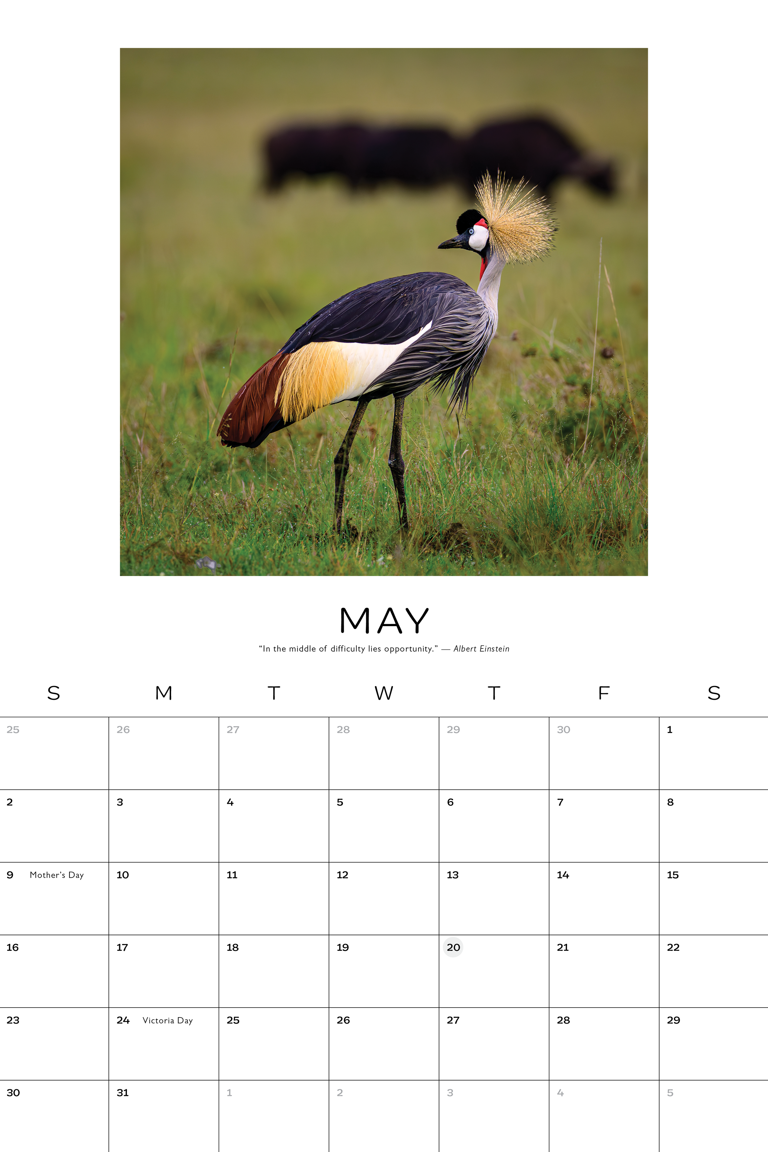 2027 calendar6.png