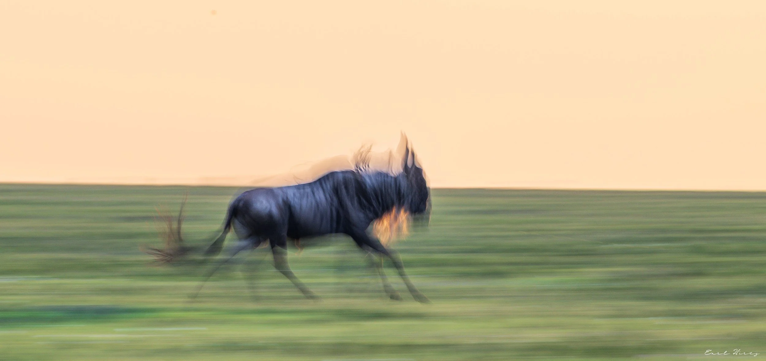 The Fast and the Blurriest