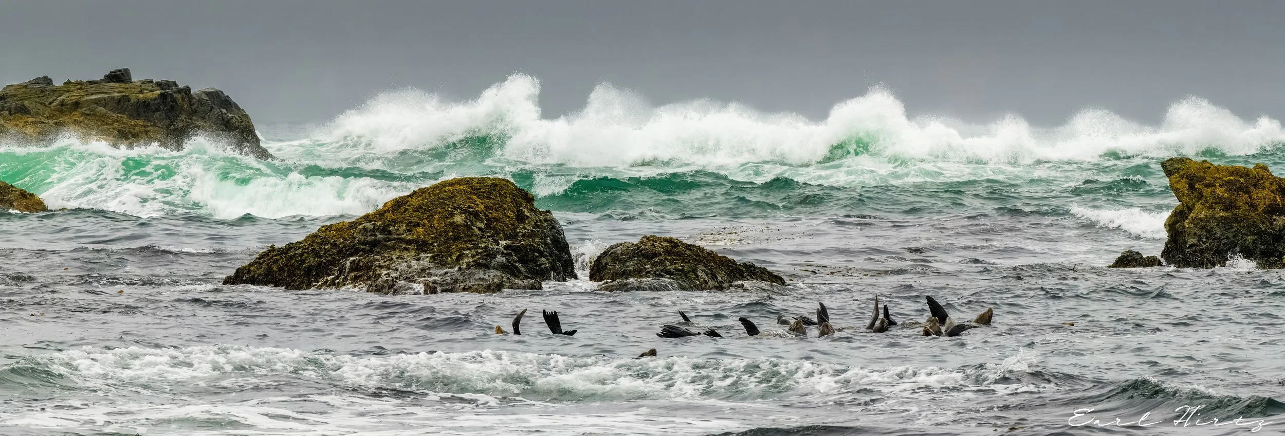 Flippers in a Storm