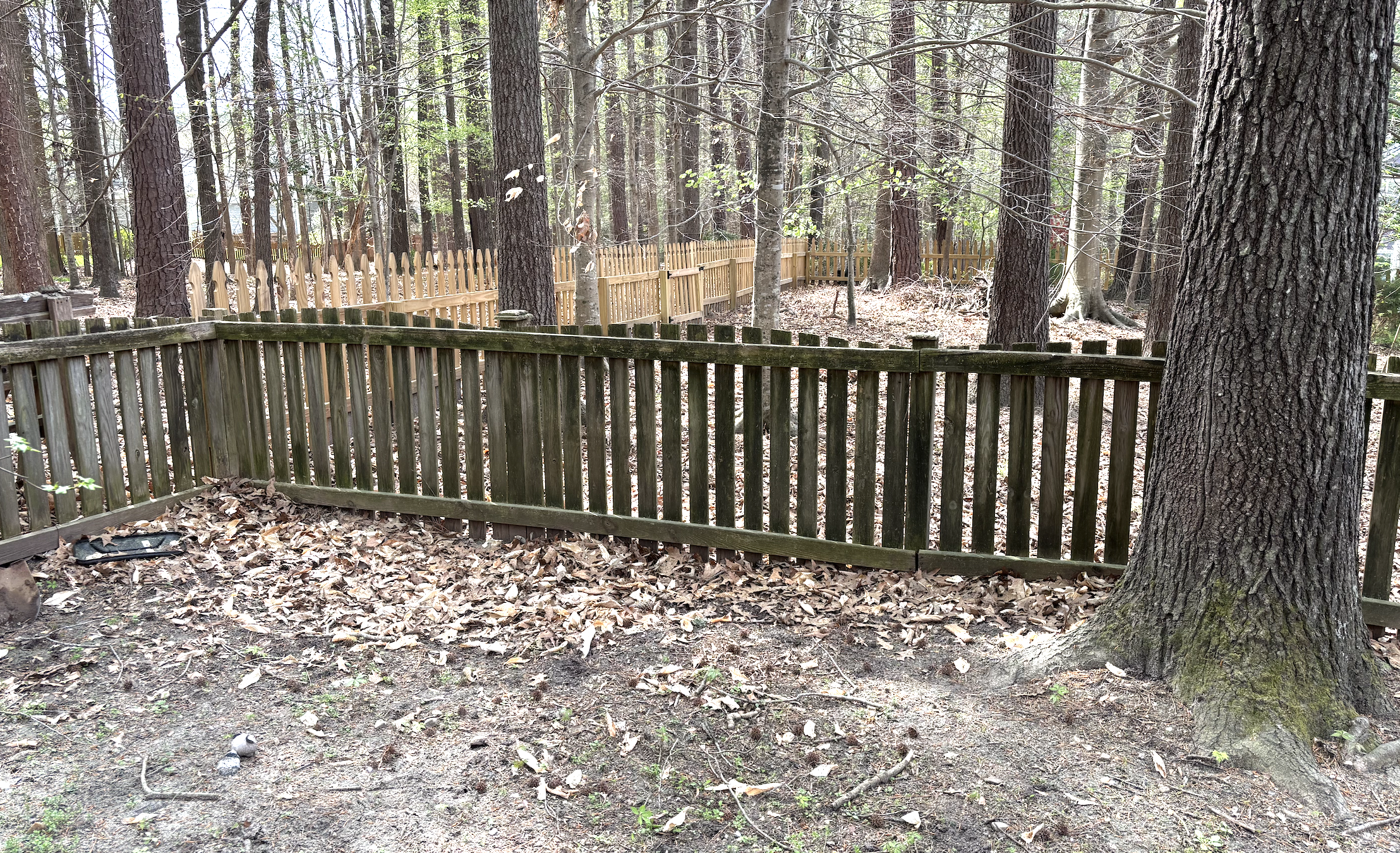 Screenshot 2025-04-16 at 2.51.53 PM.png