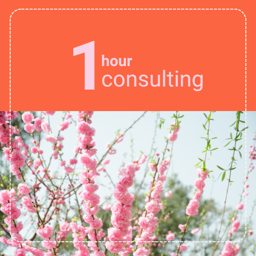 1 hour consulting.png