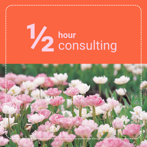 half hour consulting.png