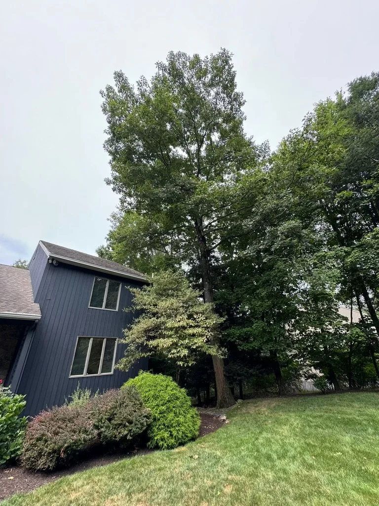 3a7fd87c-1611-4e9f-96f3-d394a20c174f (1).jpg