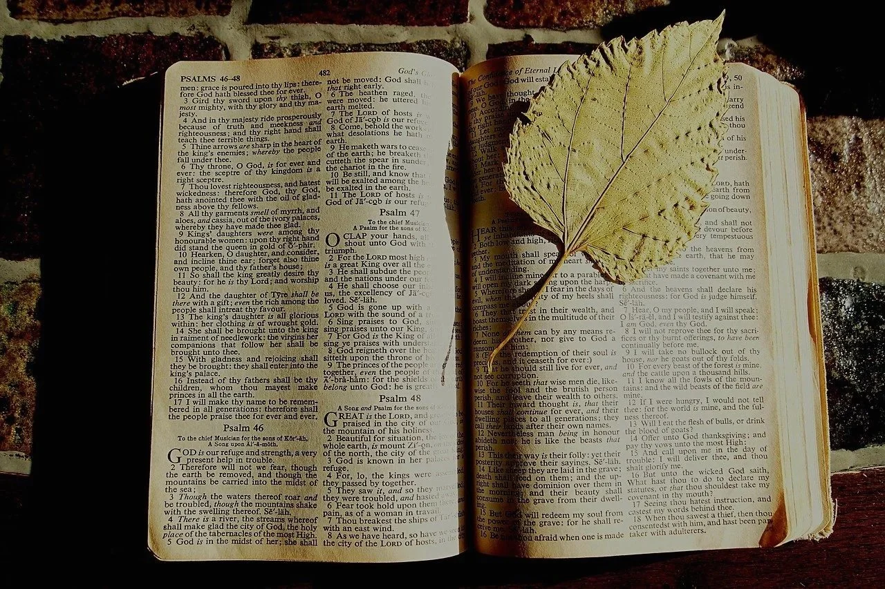 Open Bible with Psalms 46-48 visible, placed on a brick surface, with a large yellow-green leaf resting on the right page.