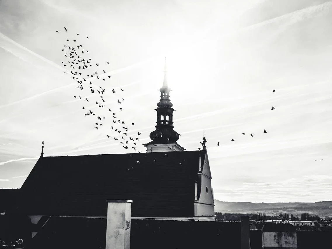 Justification by Faith: John Calvin