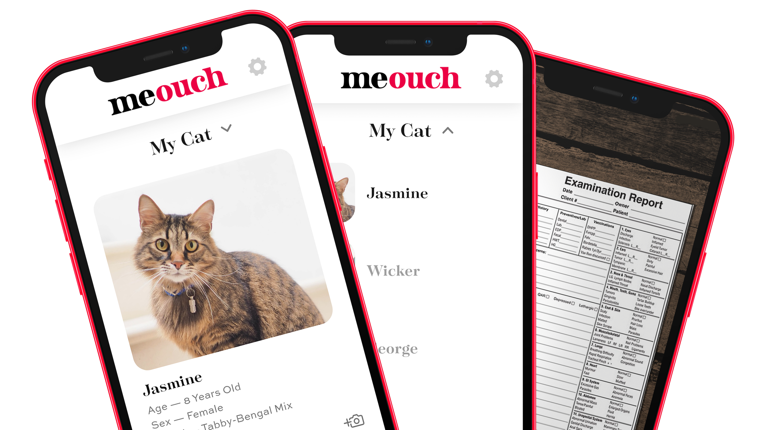 Three smartphones showing a pet management app and an examination report. The app displays a photo and details of a cat named Jasmine, and the examination report is on a wooden surface.