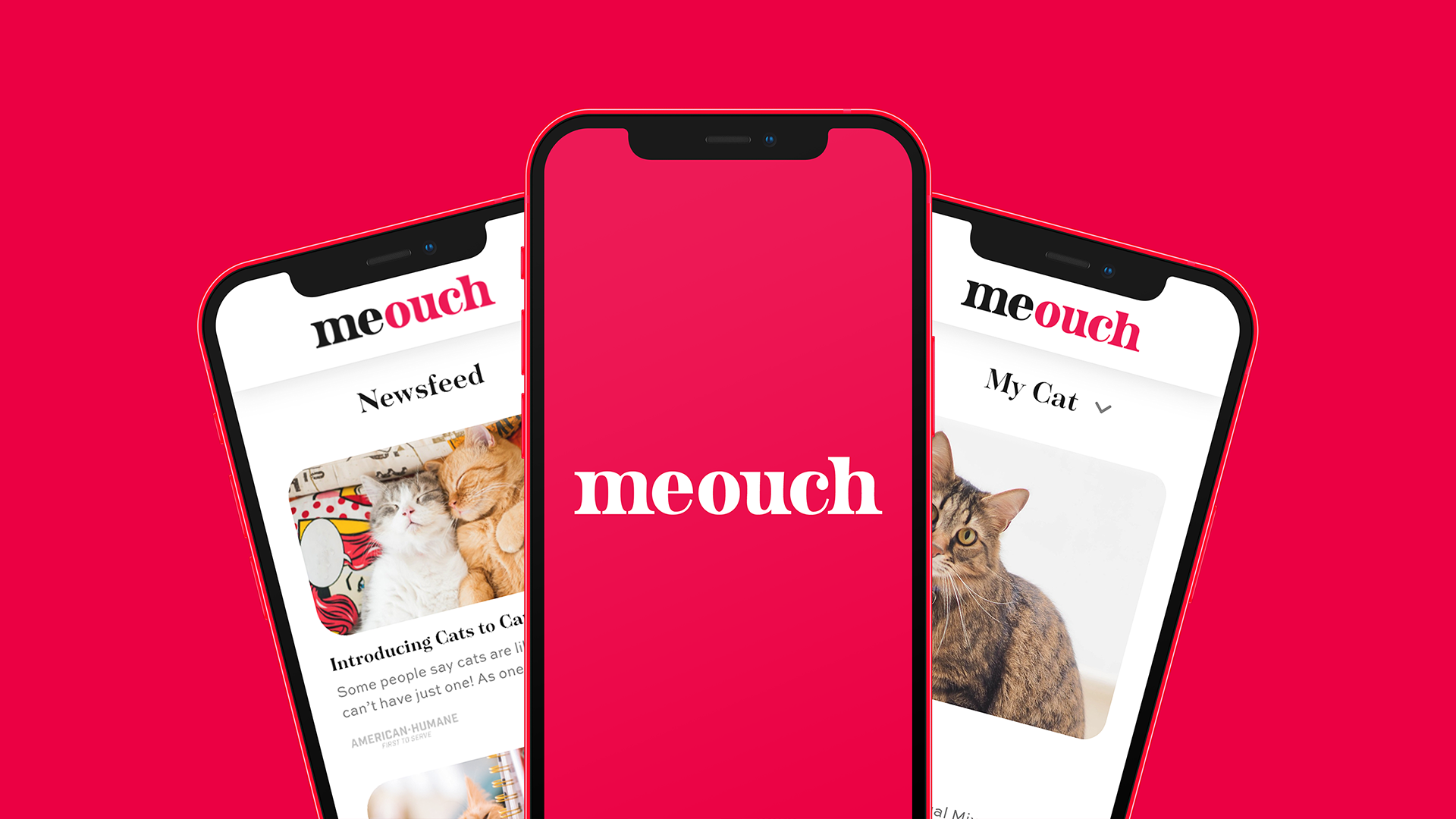 Three smartphones displaying the Meouch app with images of cats on a pink background.