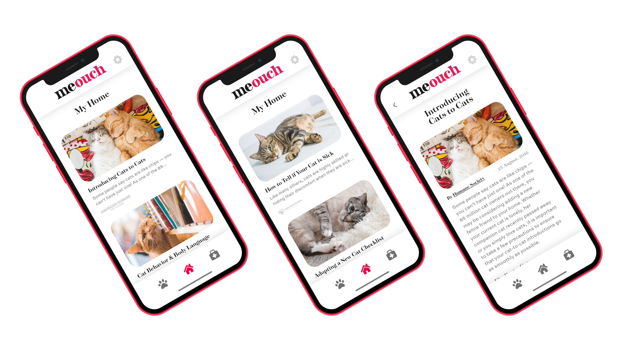 Three smartphones displaying an app called 'meouch' with articles and images about cats and pet care.