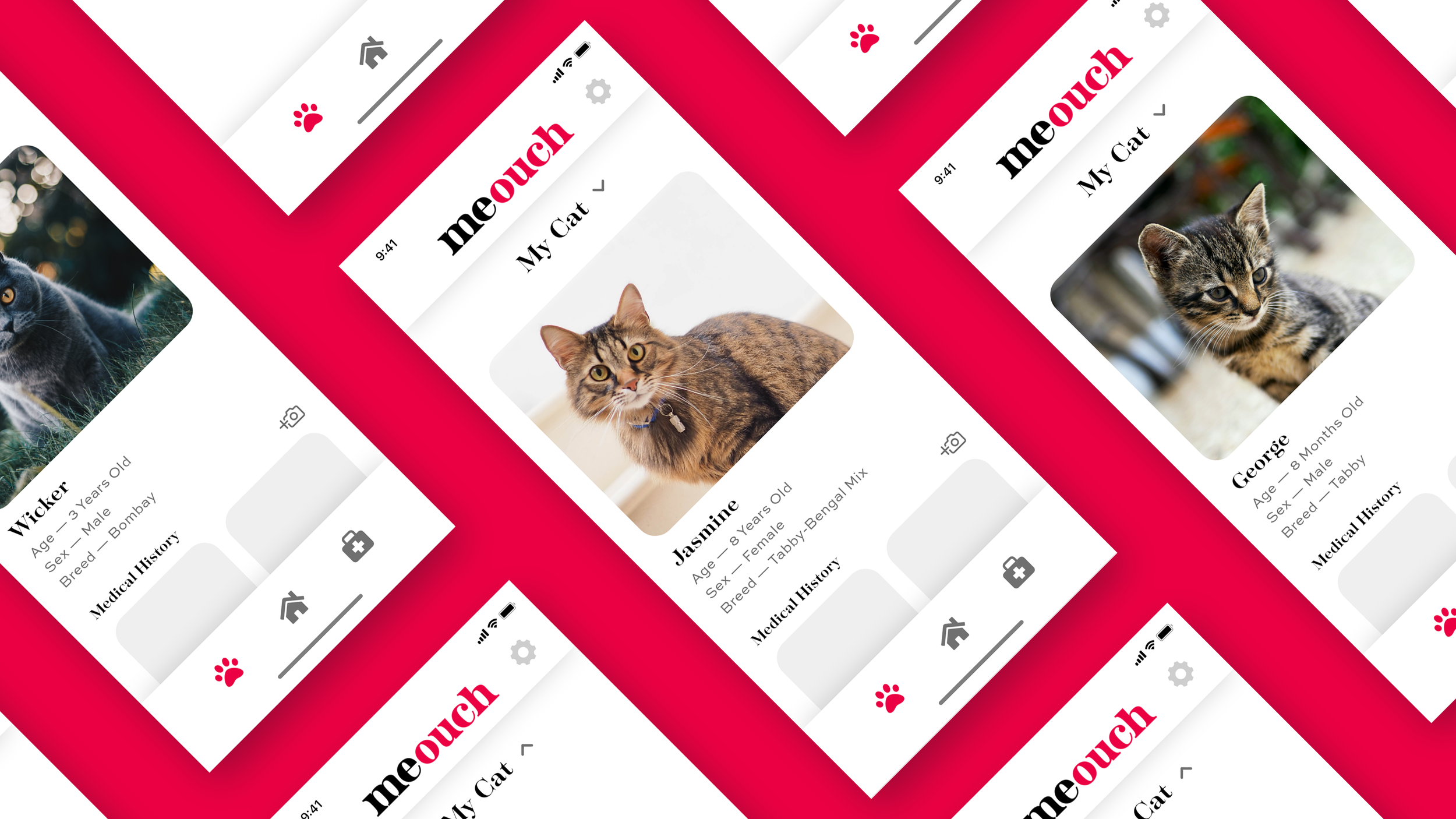 Multiple screenshots of a cat identification app featuring photos and details of different cats.