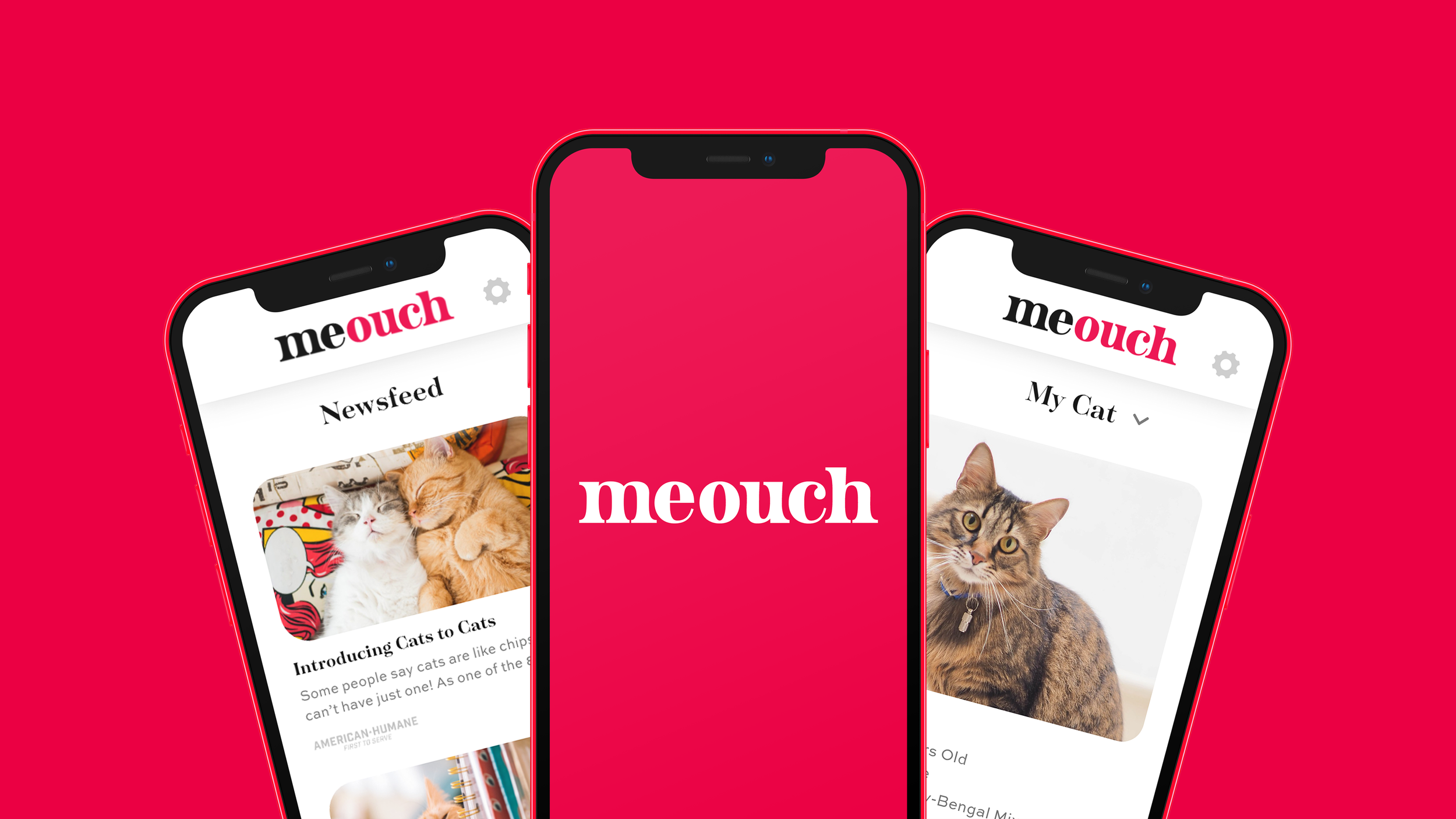 Three smartphones displaying the Meouch app with images of cats on a red background.