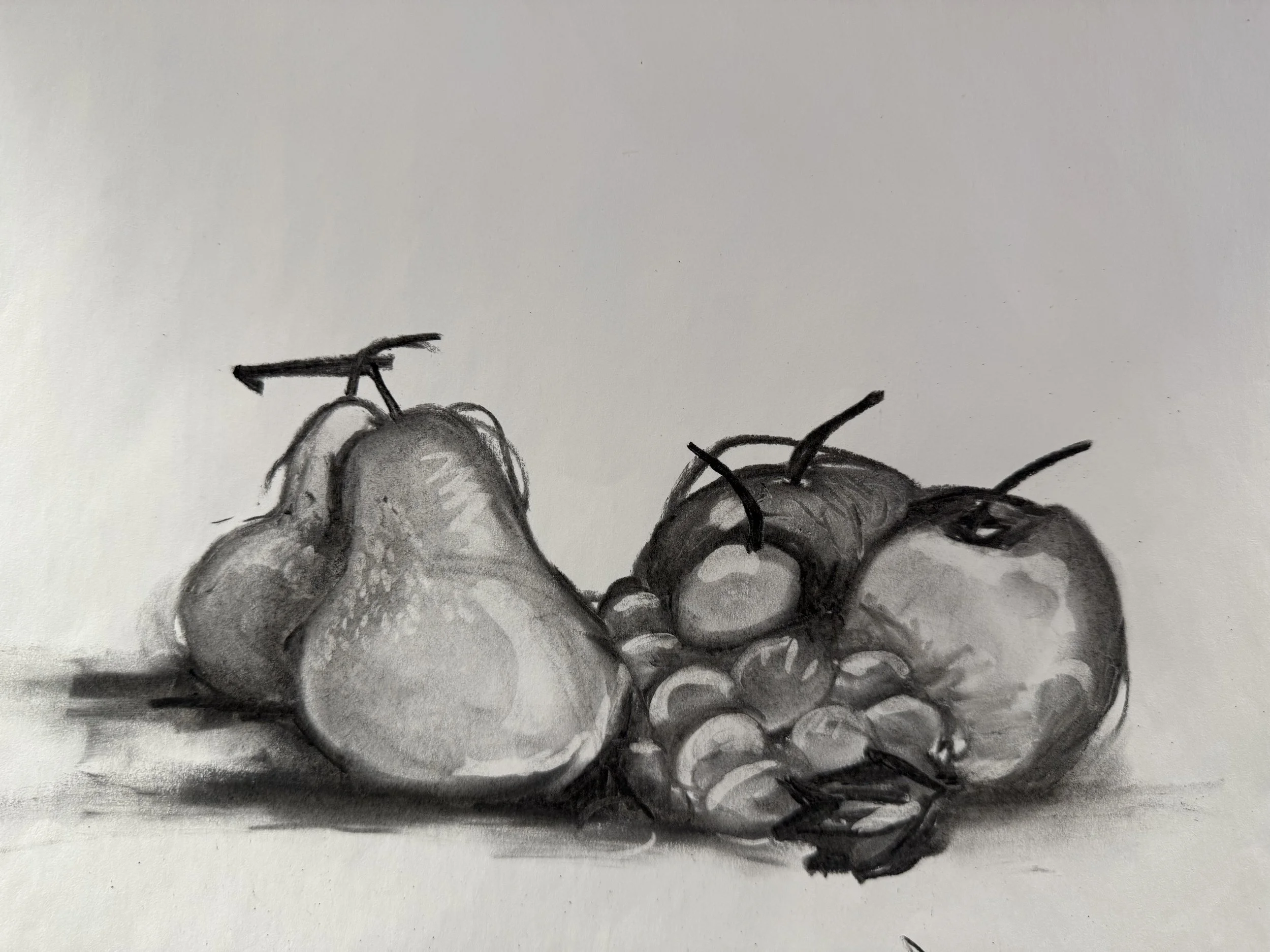 Charcoal Foundations: Drawing Series