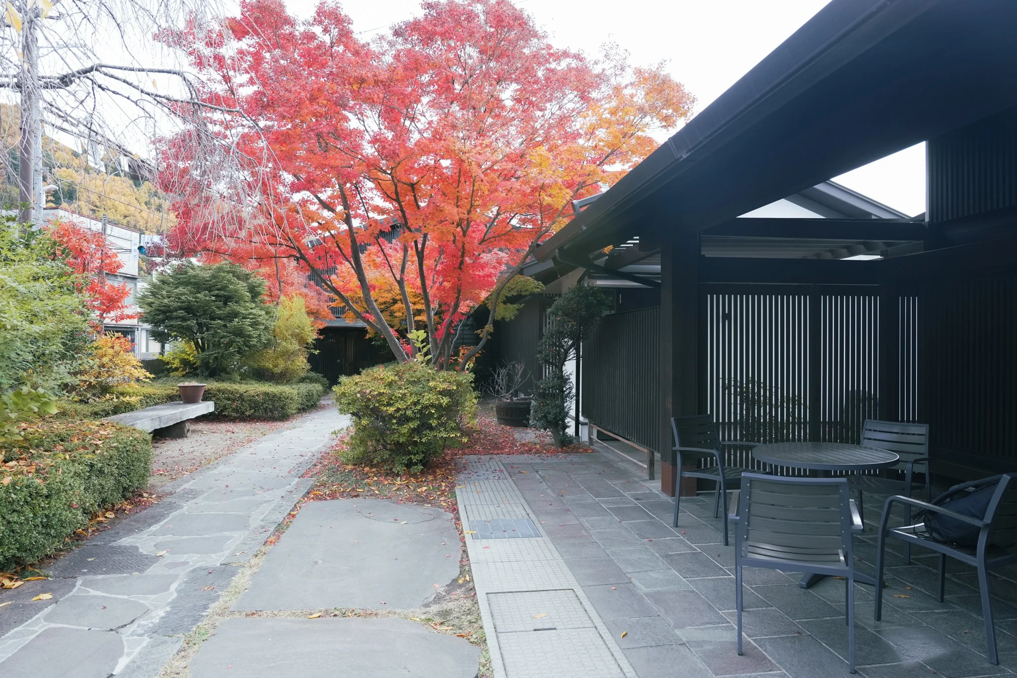 37.宮坂酒造 常磐蔵.jpg