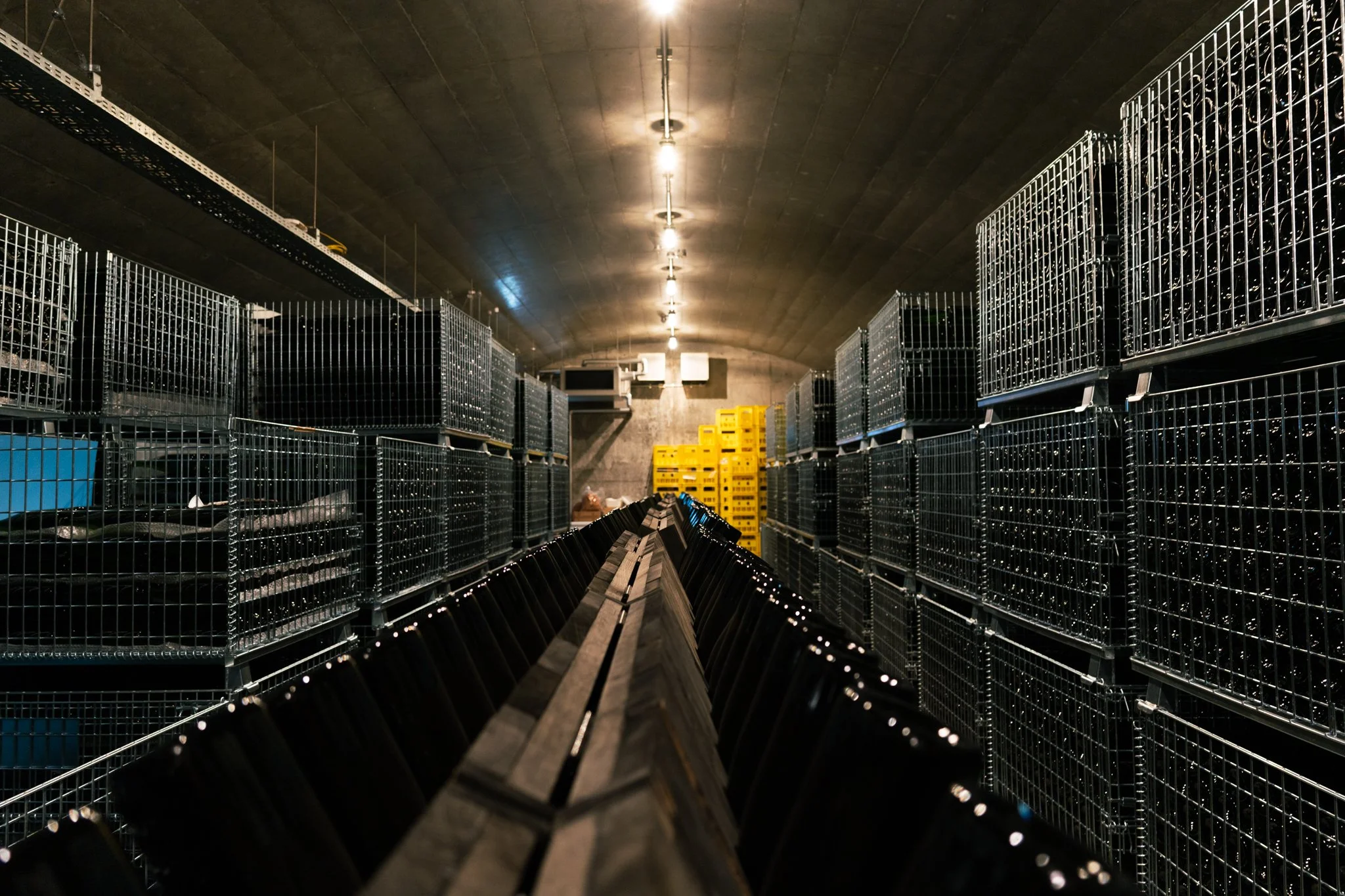 133.黒龍酒造 臥龍棟04.jpg