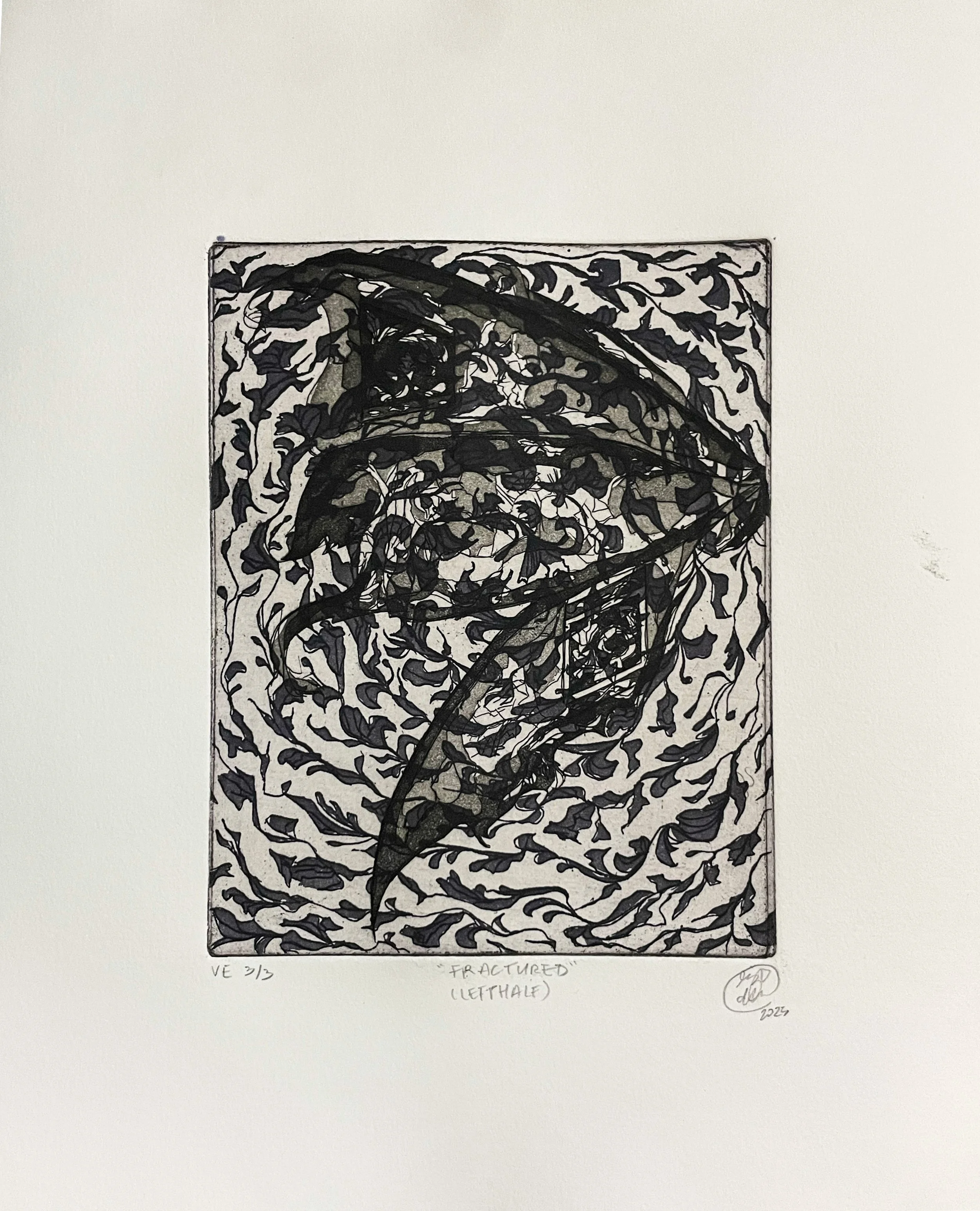 2VE 1/1 - Two plate intaglio relief print; 11x14 in.