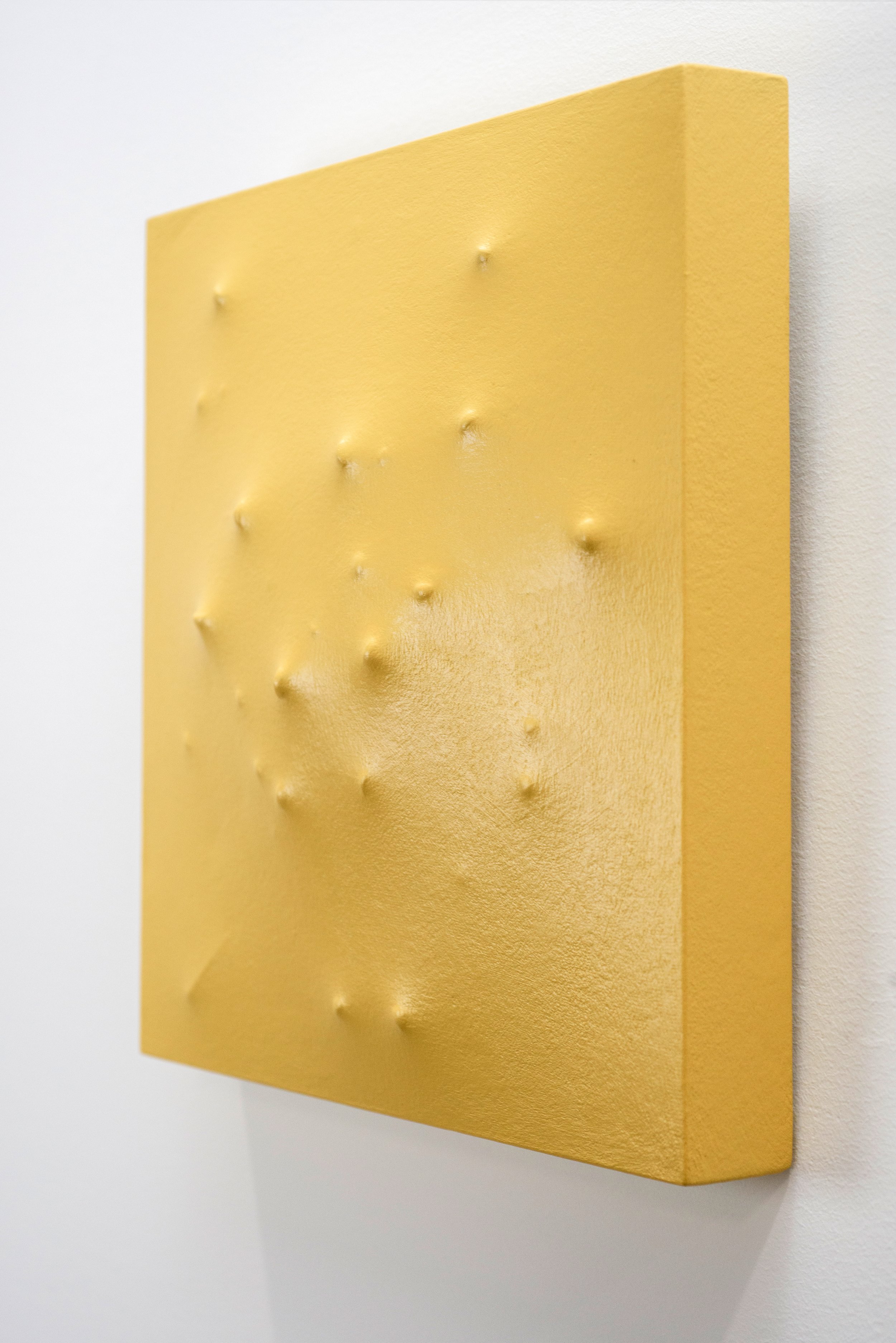 2009 Mimosa Right Side View 2.jpg