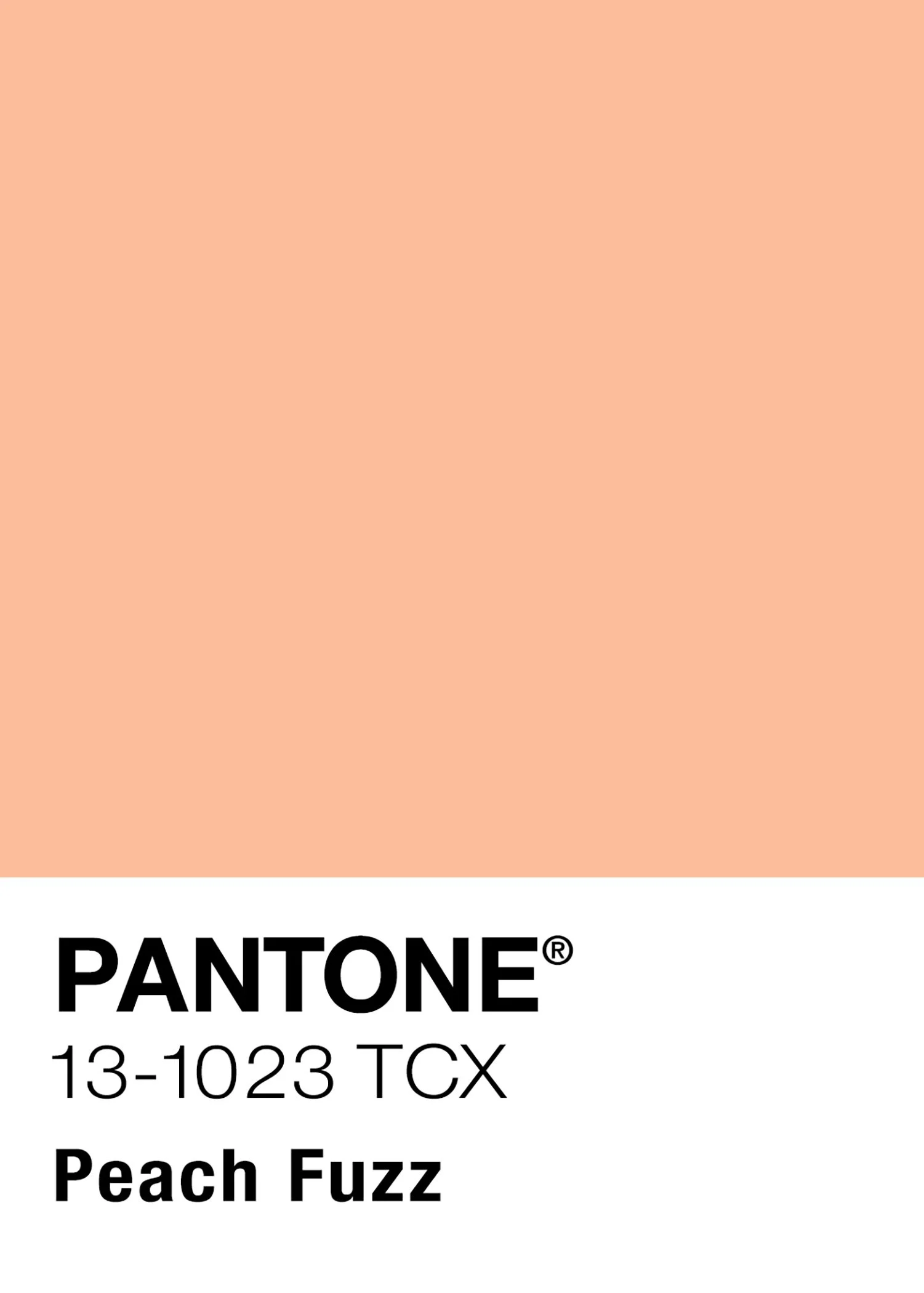 Peach Fuzz FULL Color.jpg