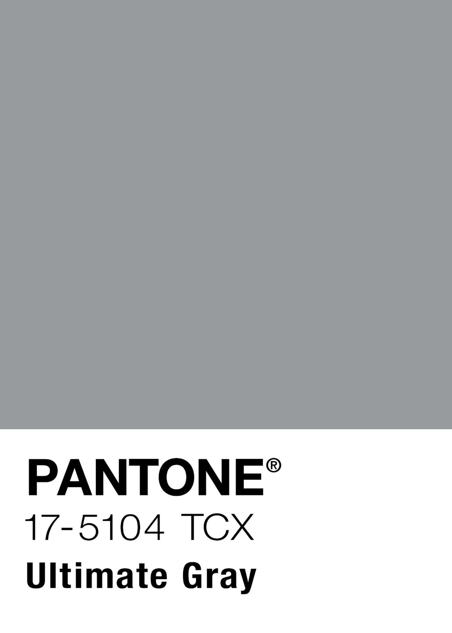 2021 Ultimate Gray FULL Color Pantone Swatch.jpg
