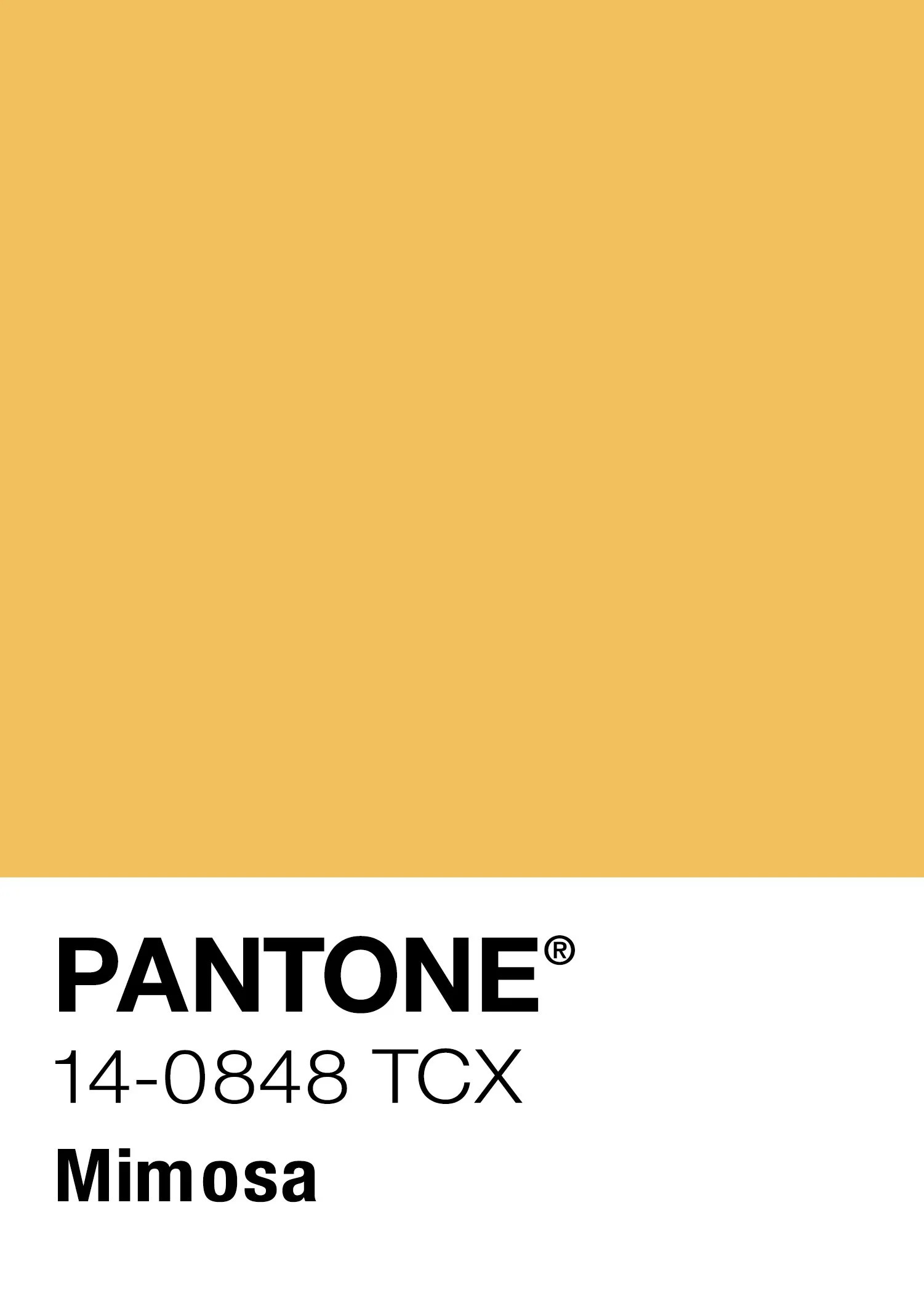 2009 Mimosa FULL COLOR Pantone Sample.jpg