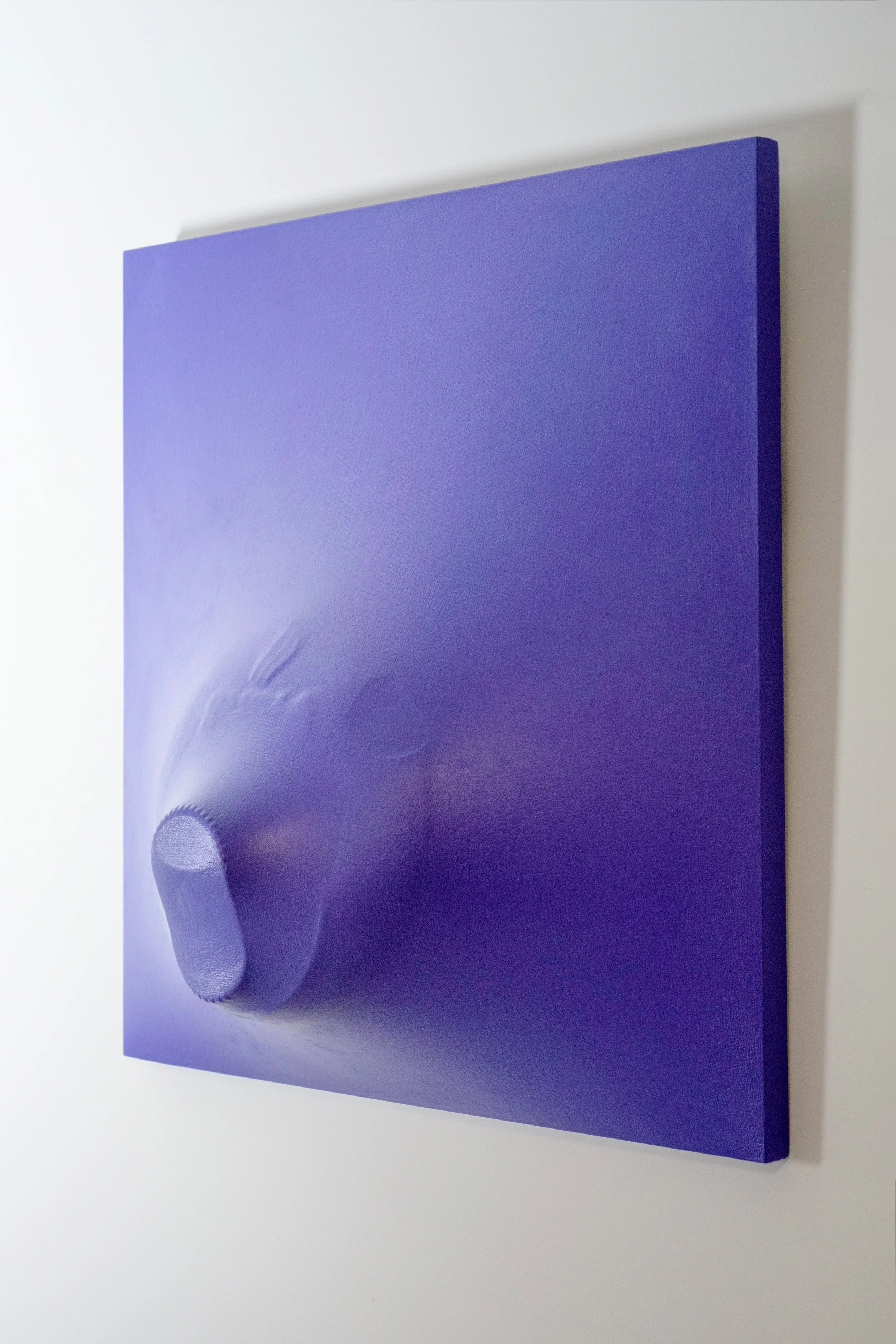 2008 Blue Iris Right Side View 2.jpg