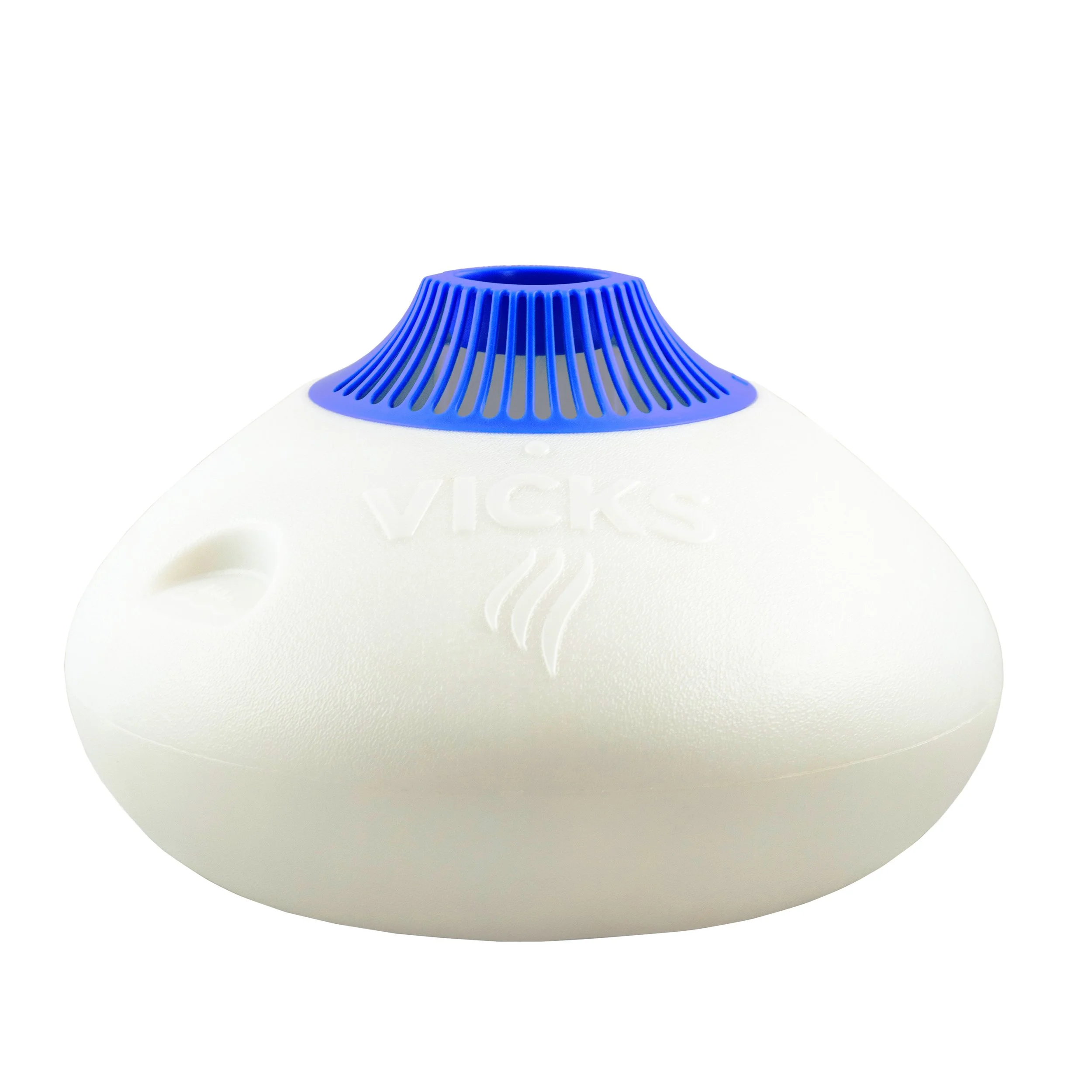 2008 Blue Iris - Found Object - Vaporizer.jpg