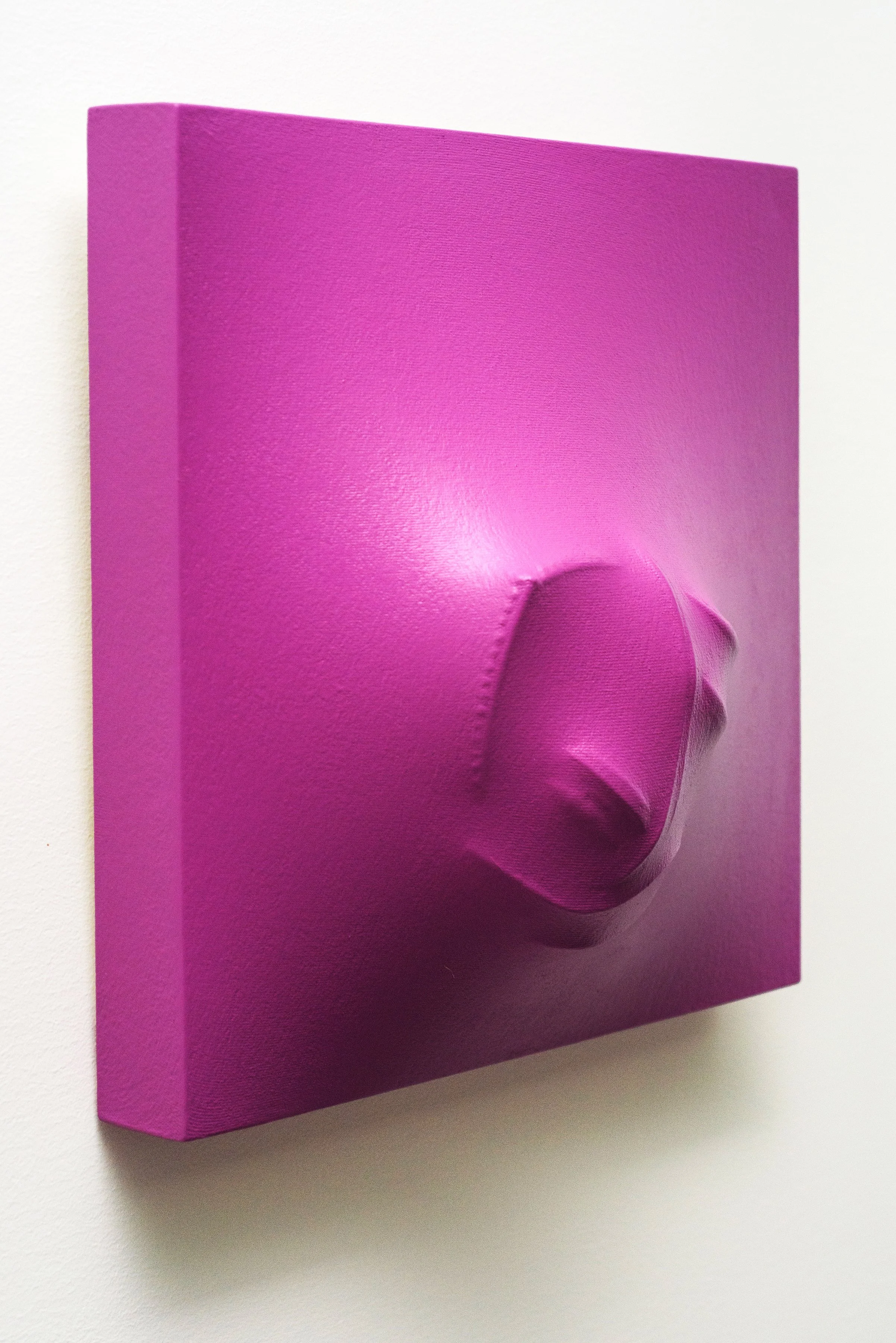 2014 Radiant Orchid Left Side View 2 WEB.jpg